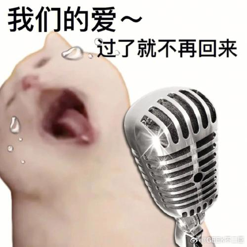 刘昊然 郭麒麟少点私生活窥探，多点作品关注！年轻人出门唱个歌而已，完全是正常社交