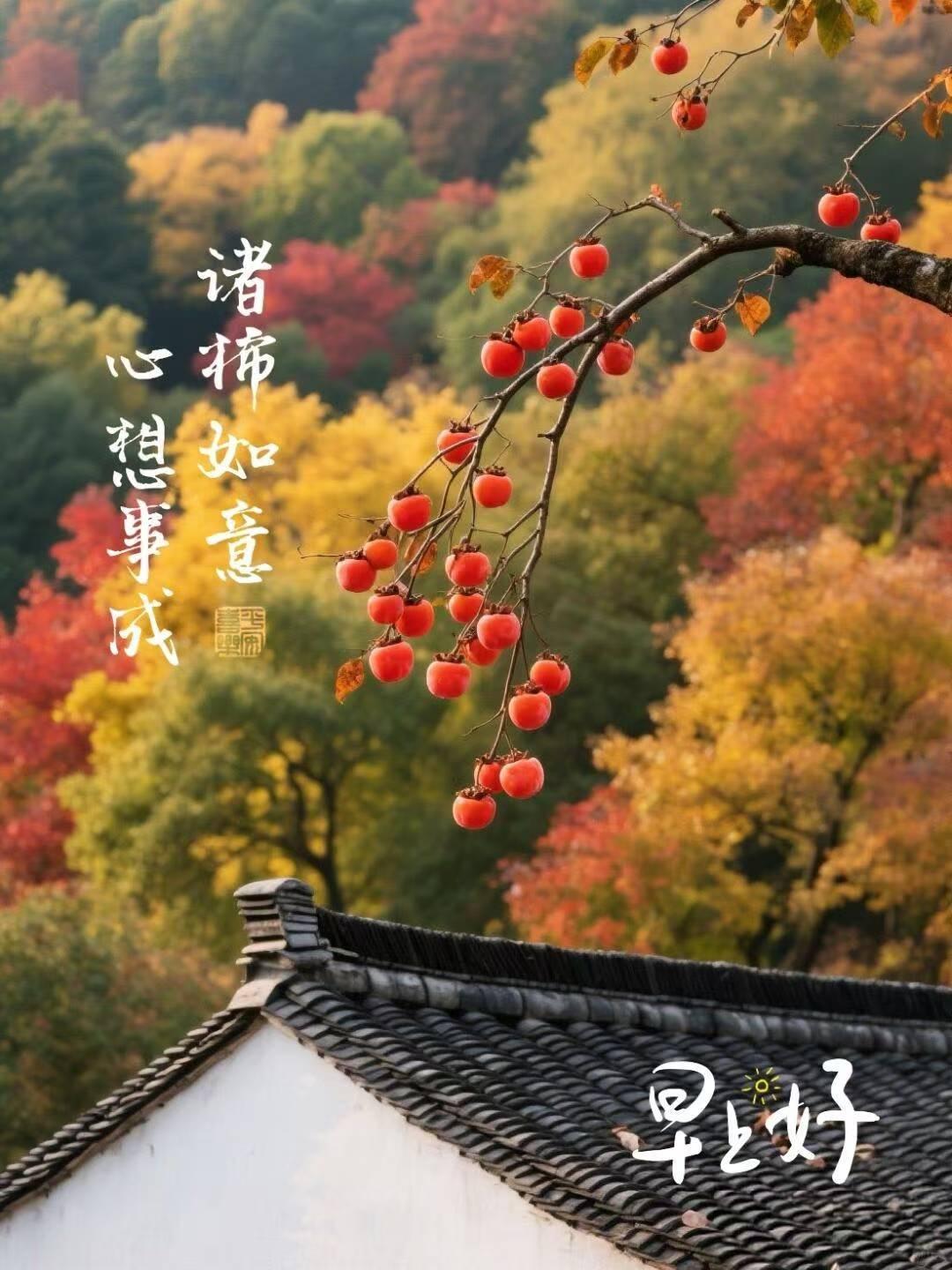 秋意渐浓，红叶满山，心怀感恩，诸事如意。