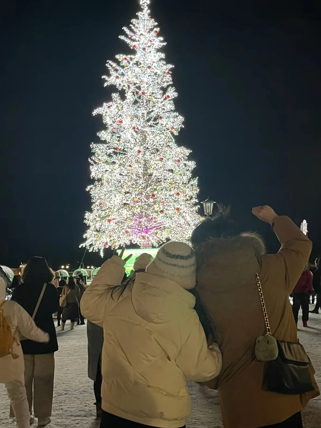 抠搜情侣北海道已回，我们的建议是。。。