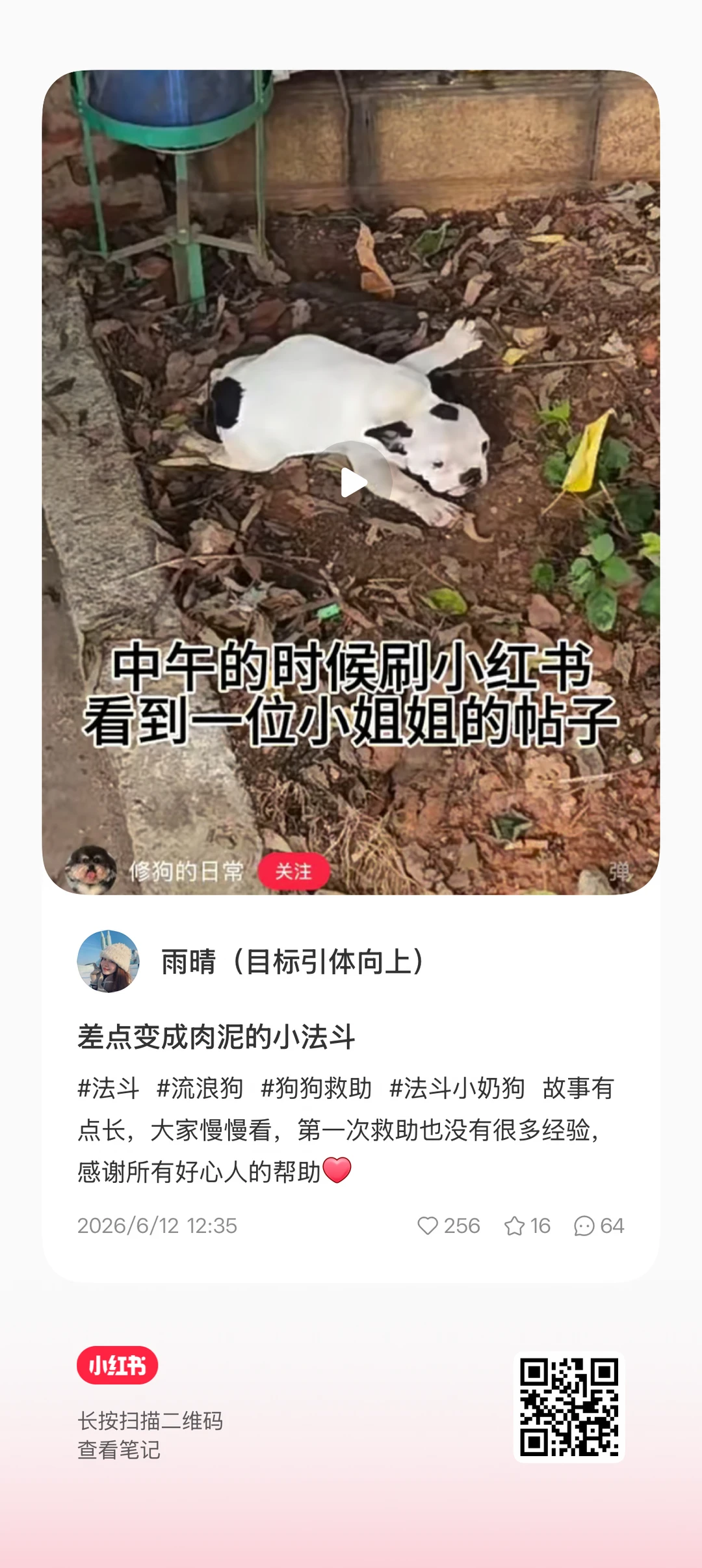 差点变成肉泥的小狗