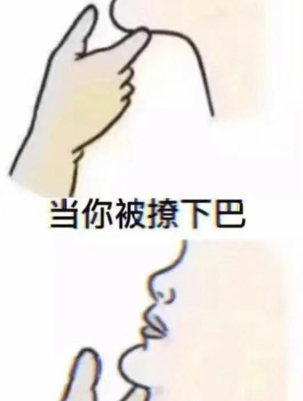 哈哈哈夹他  这下巴长的没点熊数了[允悲] ​​​