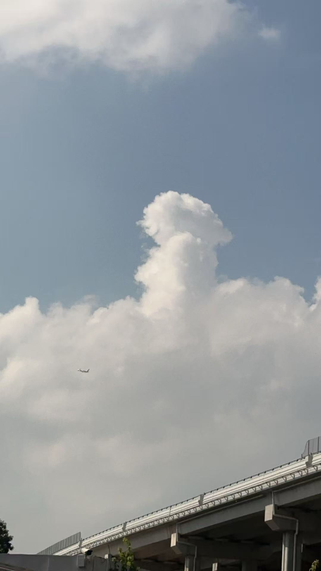 12月10日，星期三。俯卧撑 20×3，打卡完成。 