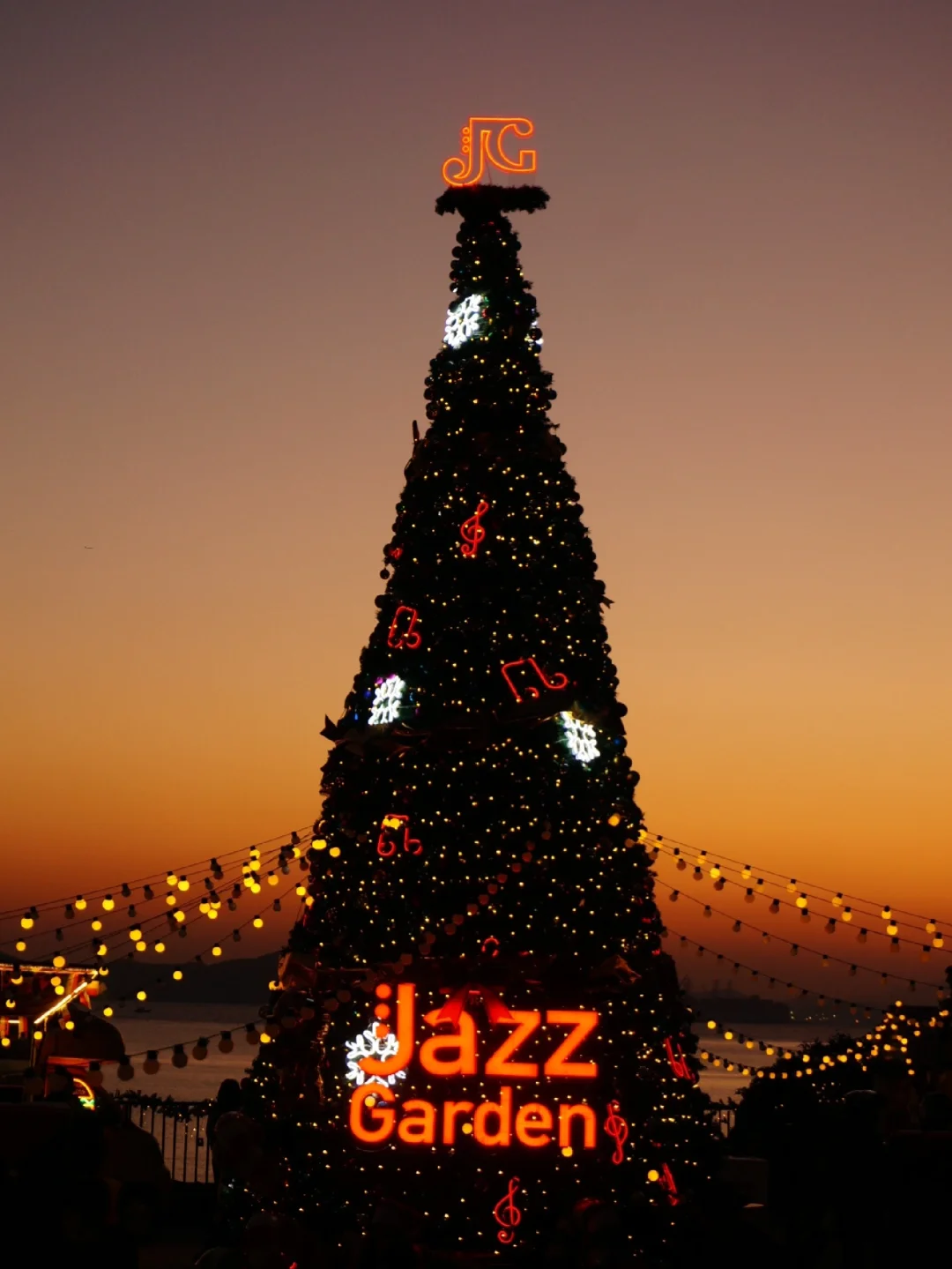 不是香港！是青岛！海上巨型圣诞树🎄攻略