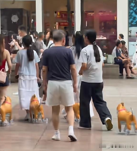 街上这阵仗真的笑人！重庆人脑洞是有点大哟，别个遛猫遛狗，他们直接遛机器小狗。
几