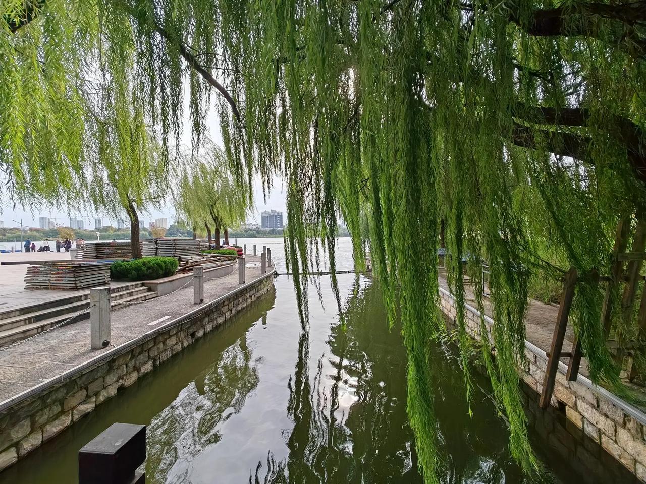 三个月减重100斤，不是难不难的问题
如果需要减重100斤，在三个月之内
我劝你
