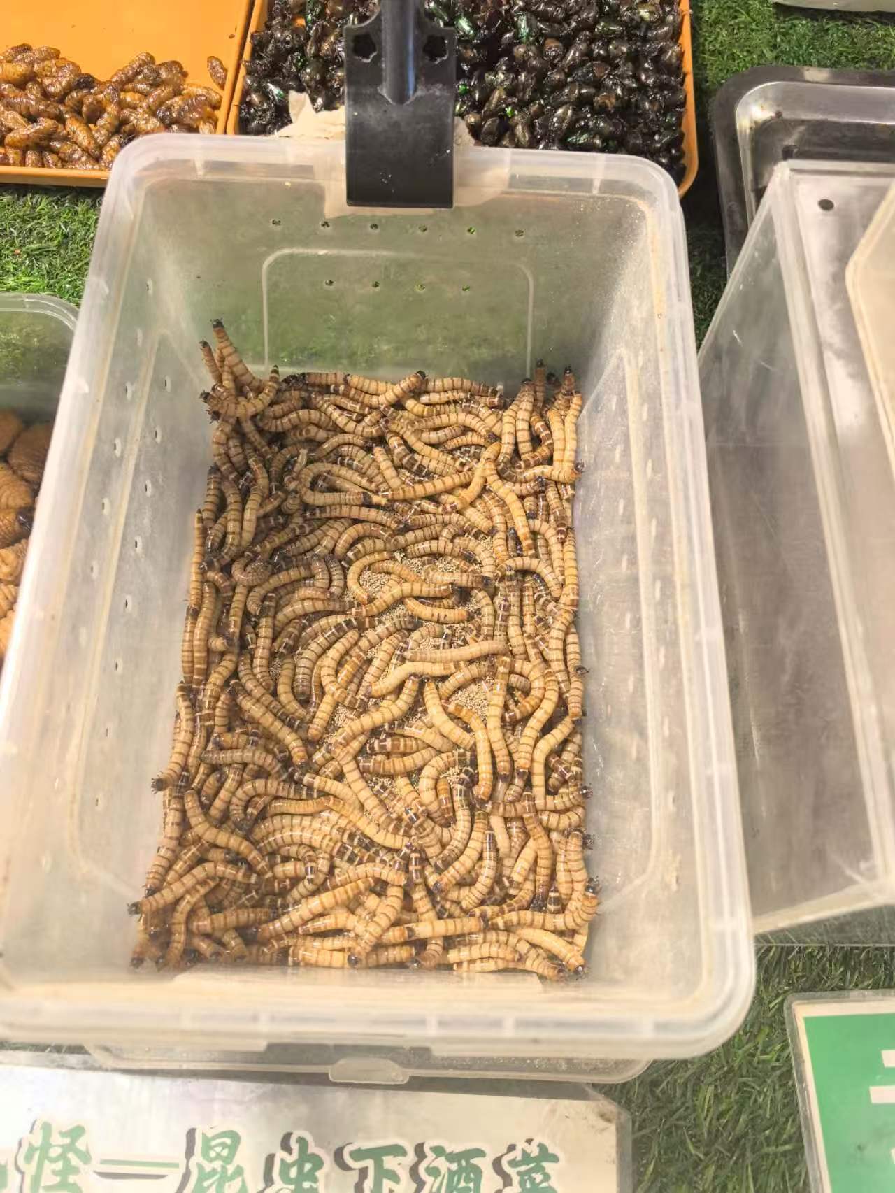 大姐发了美味的夜宵，抡子陪一个钻石们来尝尝 