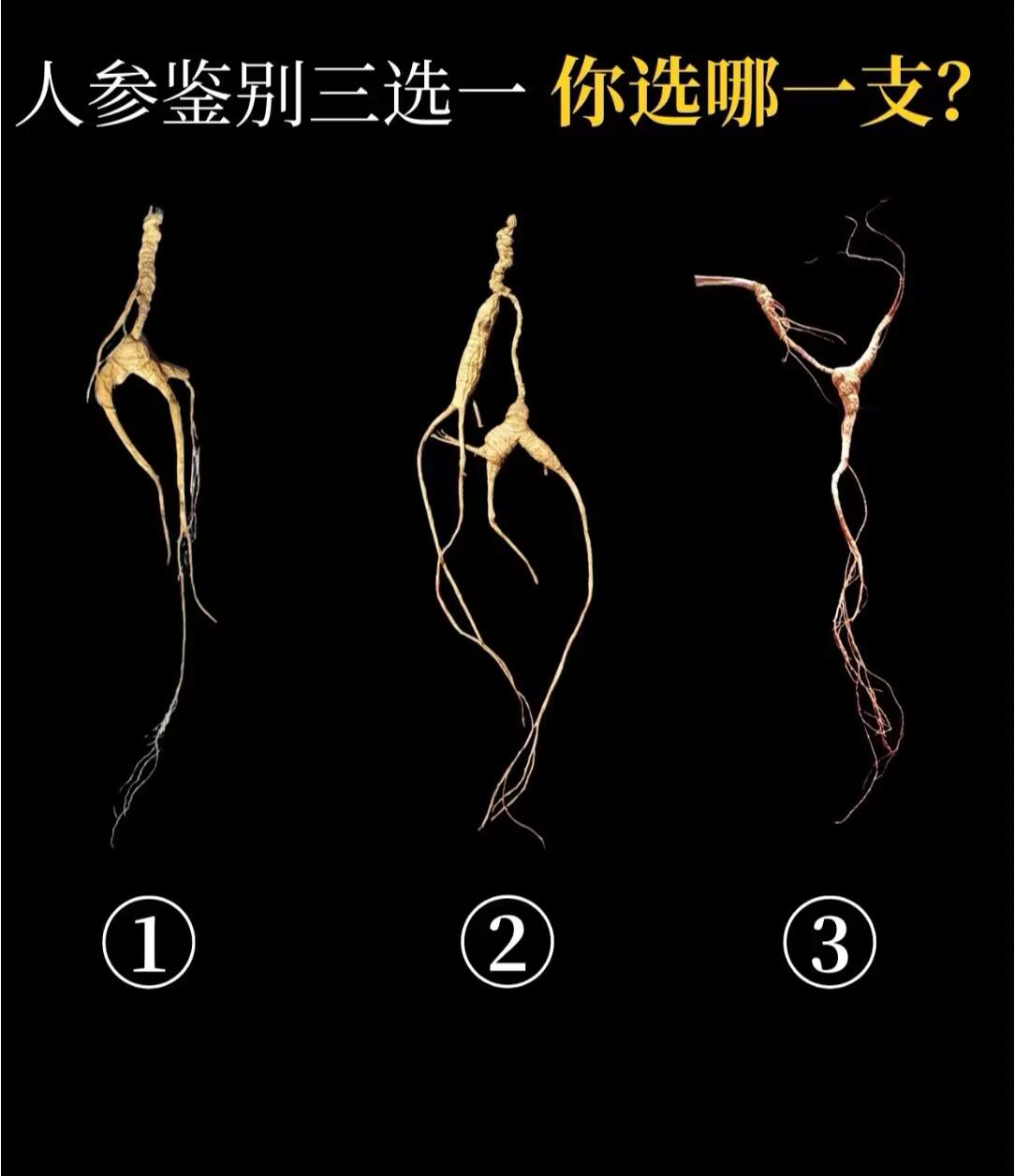都是野山参，你觉得几号最值钱？