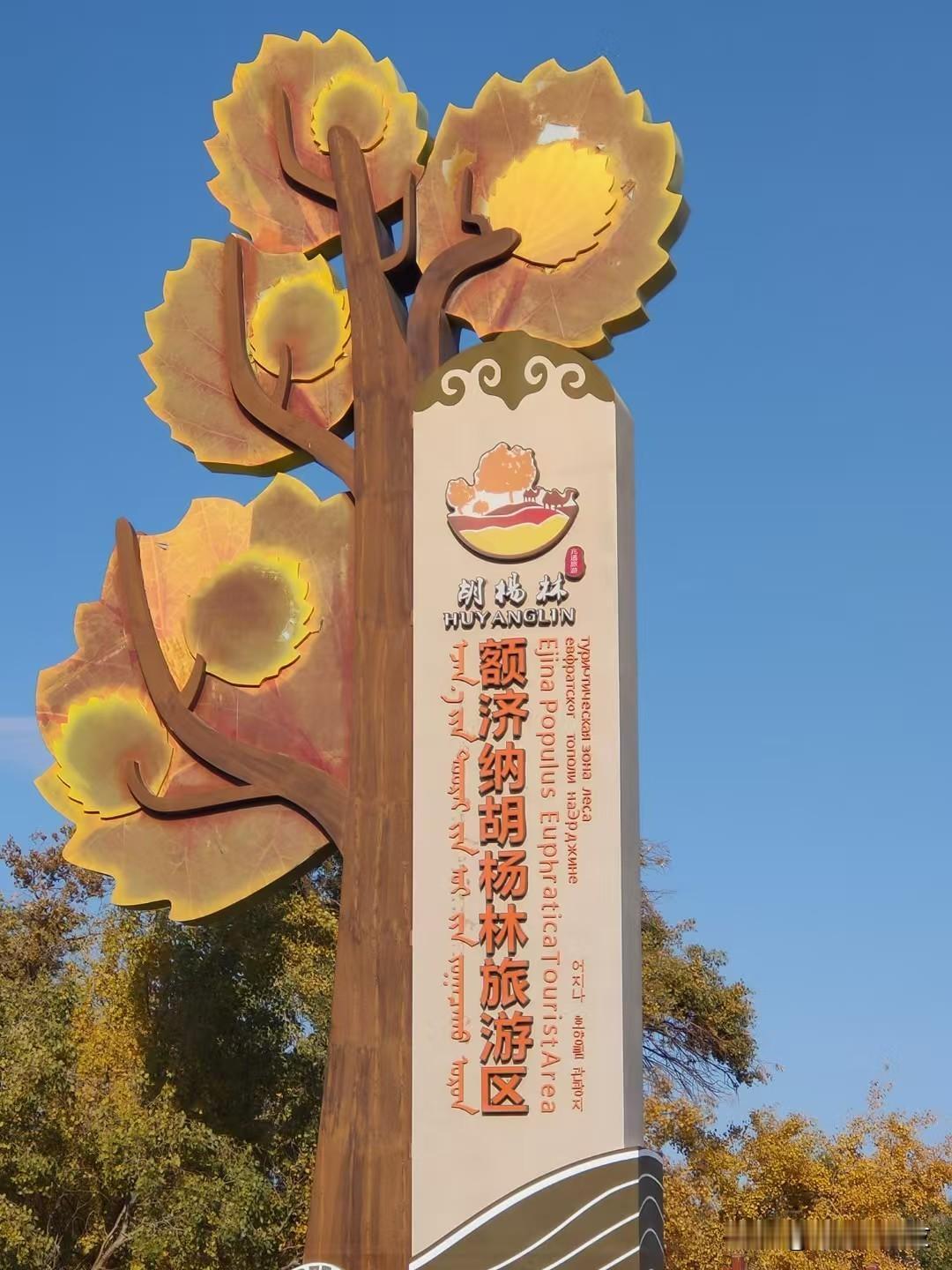 额济纳胡杨林：千年不朽的金色史诗，秋日限定的视觉盛宴
 
在内蒙古阿拉善盟额济纳