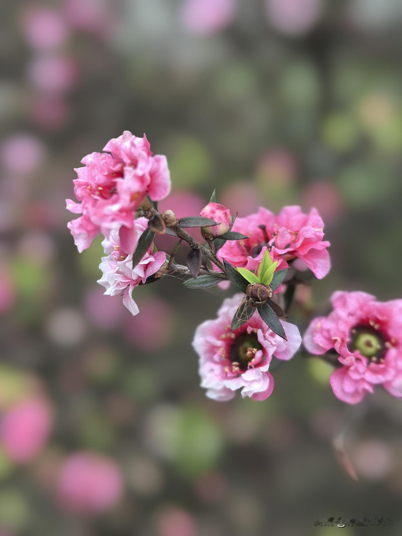 我有点喜欢“无负今日”这几字，也喜欢医学博士冯唐所说:拼了命去宠爱自己。煲汤，养