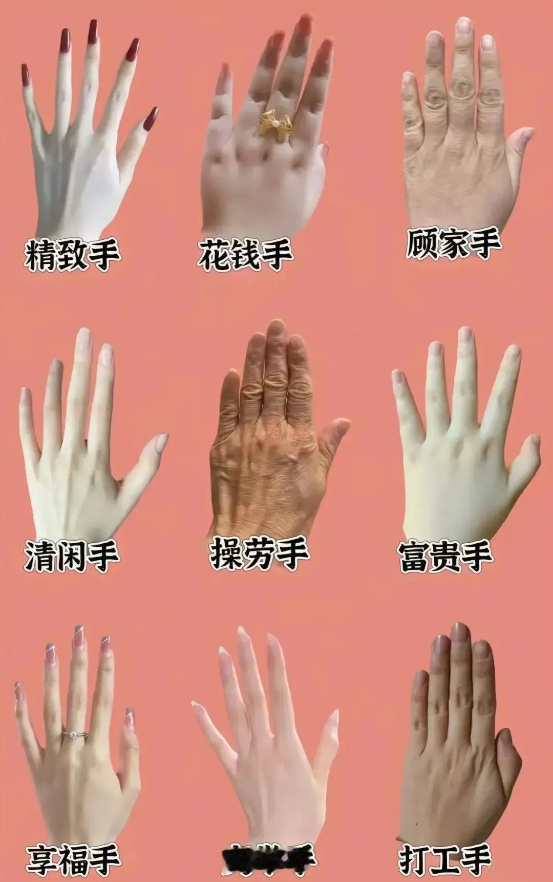 看手观命运，我是操劳手。朋友们，看看你是什么手？