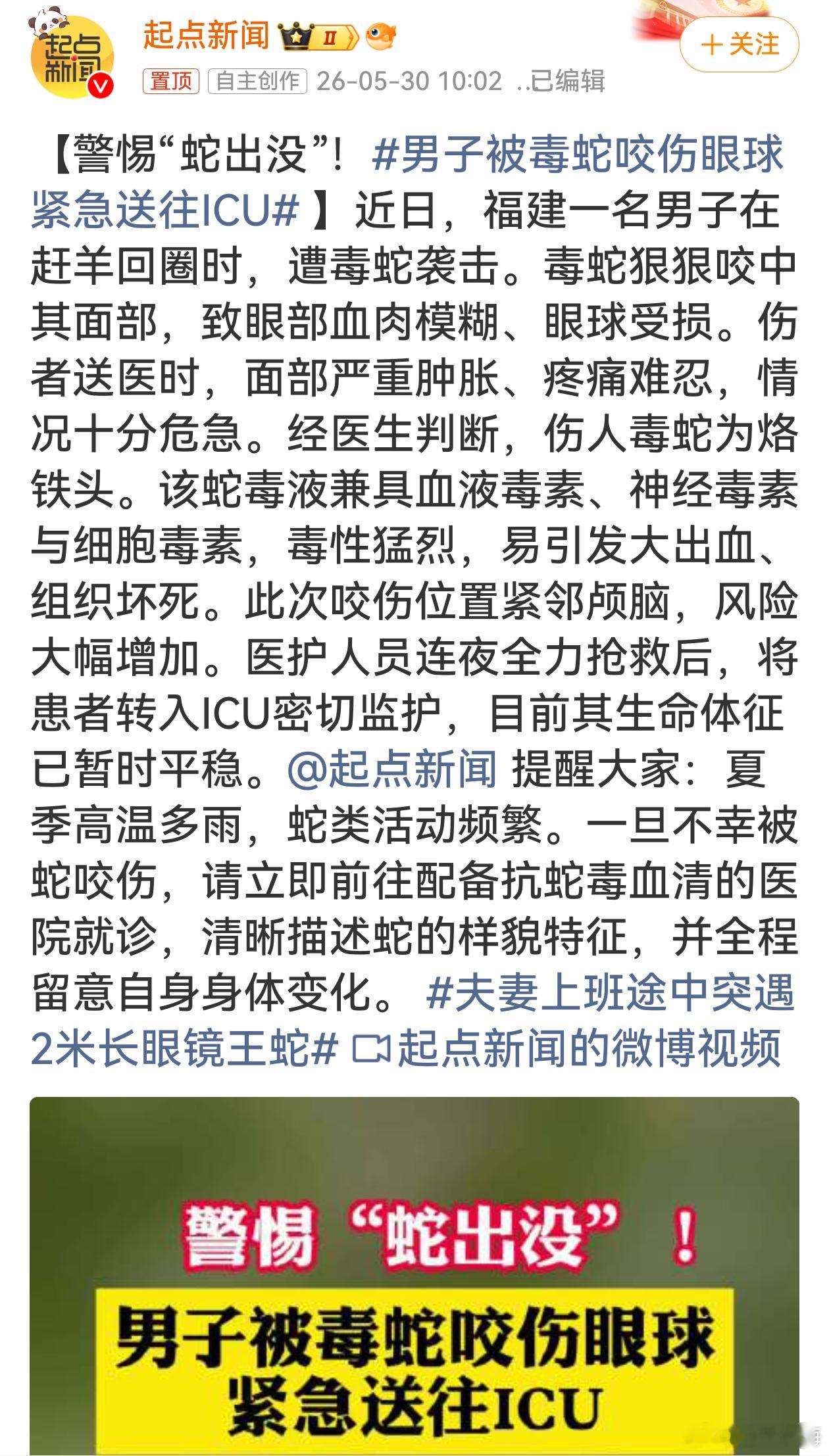 男子被毒蛇咬伤眼球紧急送往ICU 夏季雨水多气温高，蛇频繁出来觅食，郊外、羊圈、