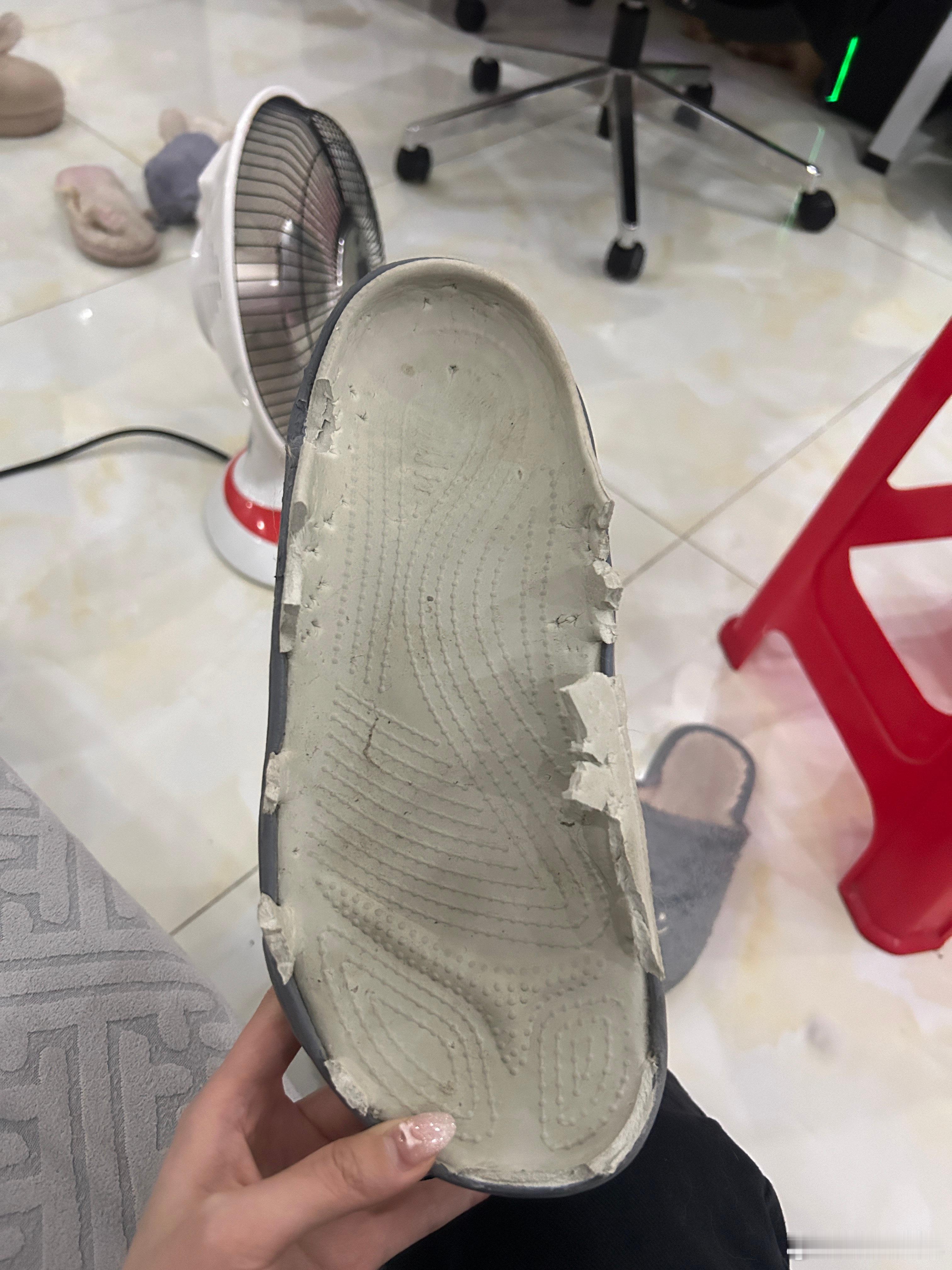 咬坏的第n双拖鞋，有没有同款狗狗的？武汉聊天室武汉plog