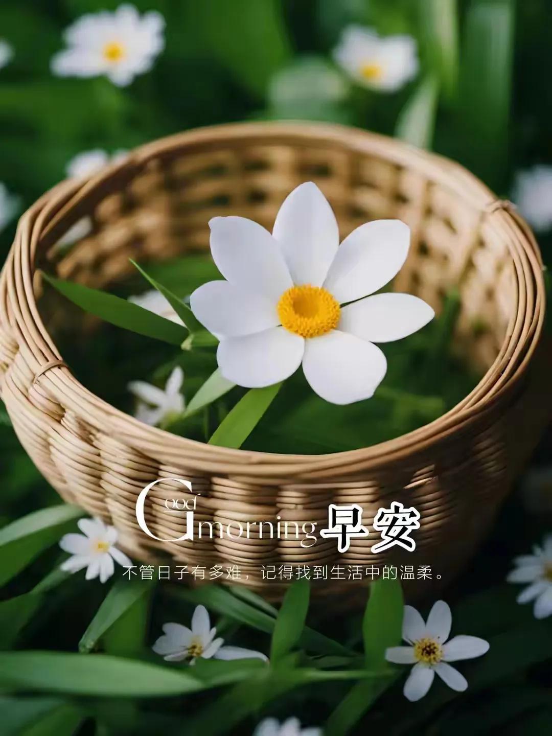 人间半途，行之坚定。。。
红尘世上，心之等待。。。
#关于等待的句子有哪些#
