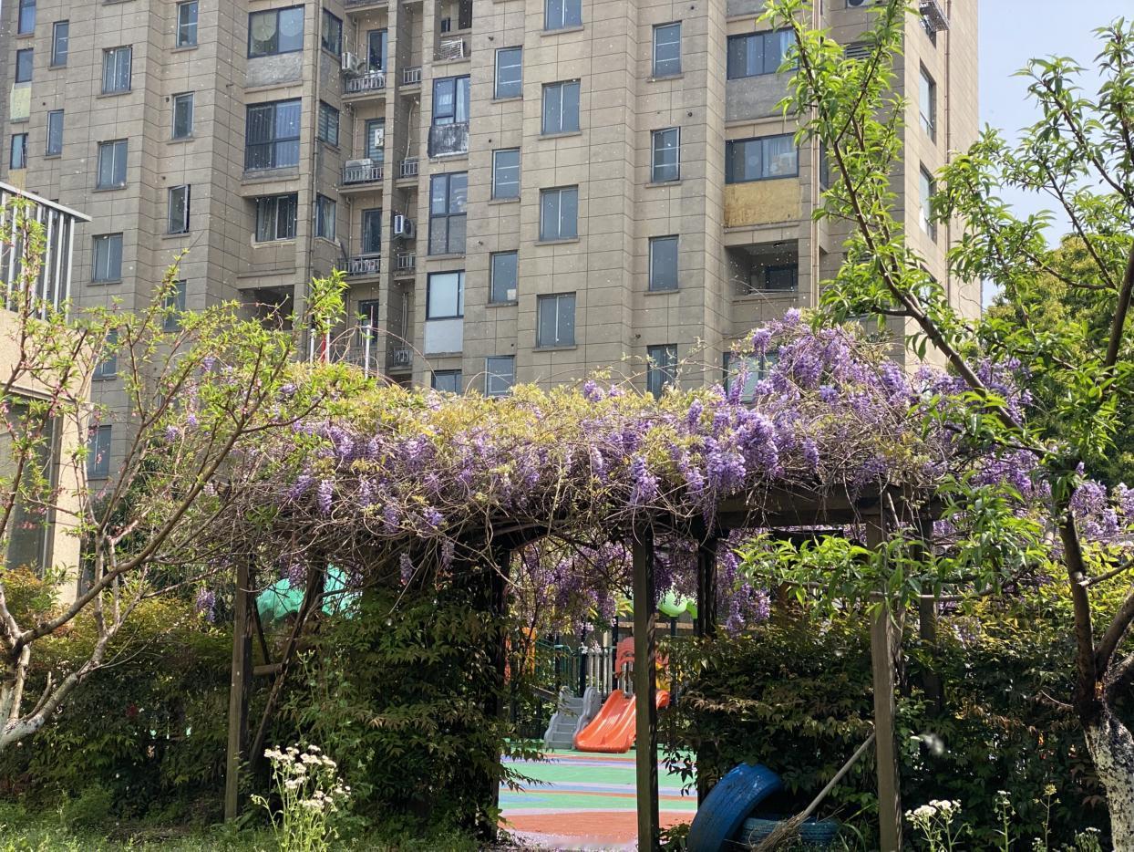 我的今日状态：😁轻松愉快
我这里的天气：☀️晴天