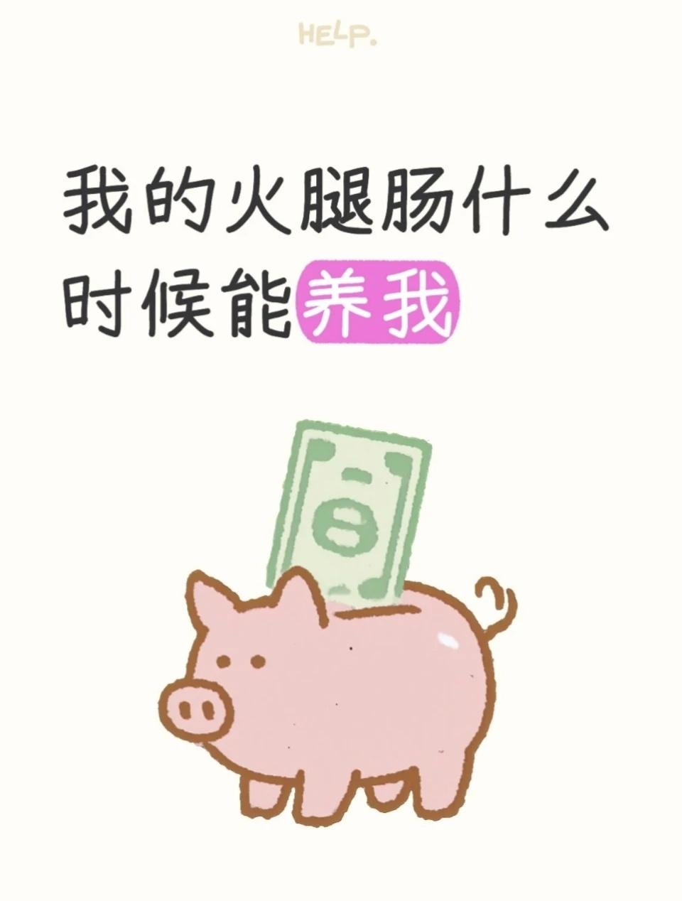 我的火腿肠什么时候能养我
刷到双汇在闲鱼空间开展猪猪云代写业务，网感&活人感MA