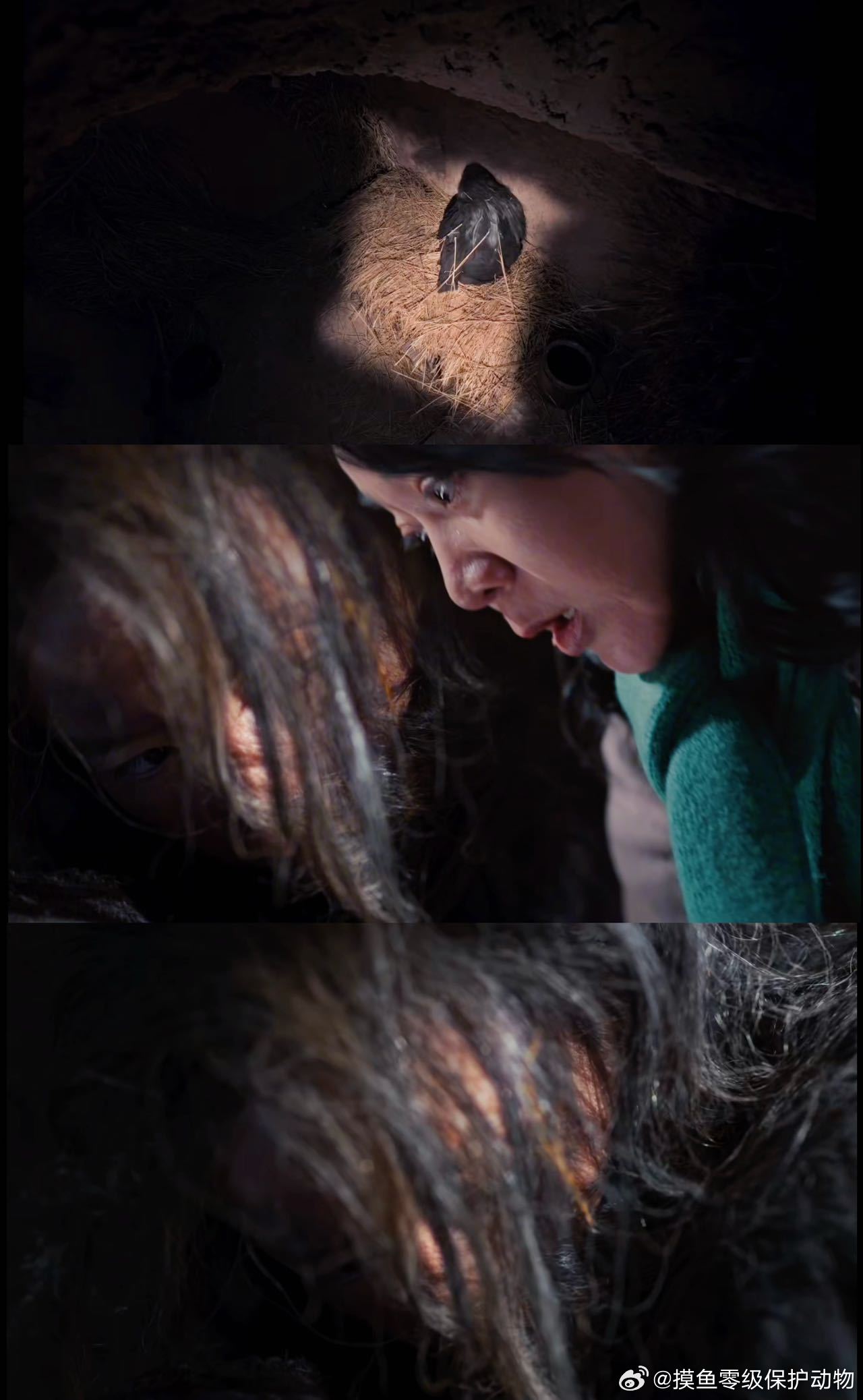 隐身的名字铁链女被囚地窖17年隐身的名字讲台上她是别人的光，地窖里她连自己的影子