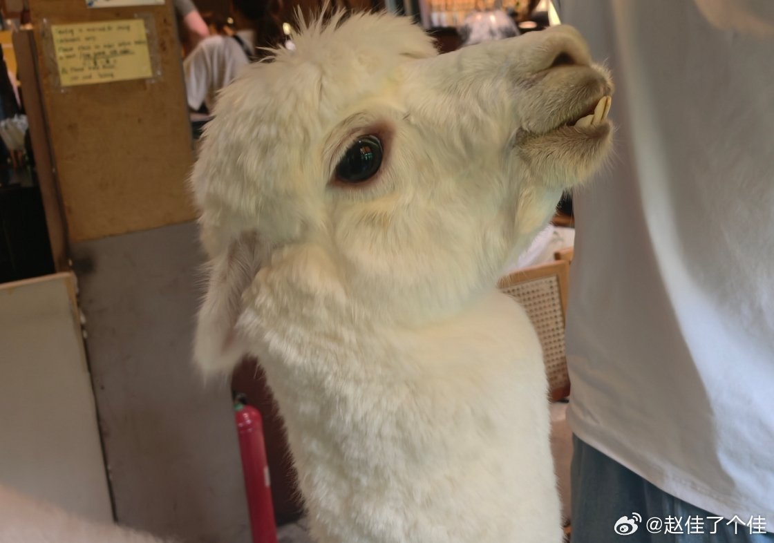 人，无语到极致的时候，就会笑出声。