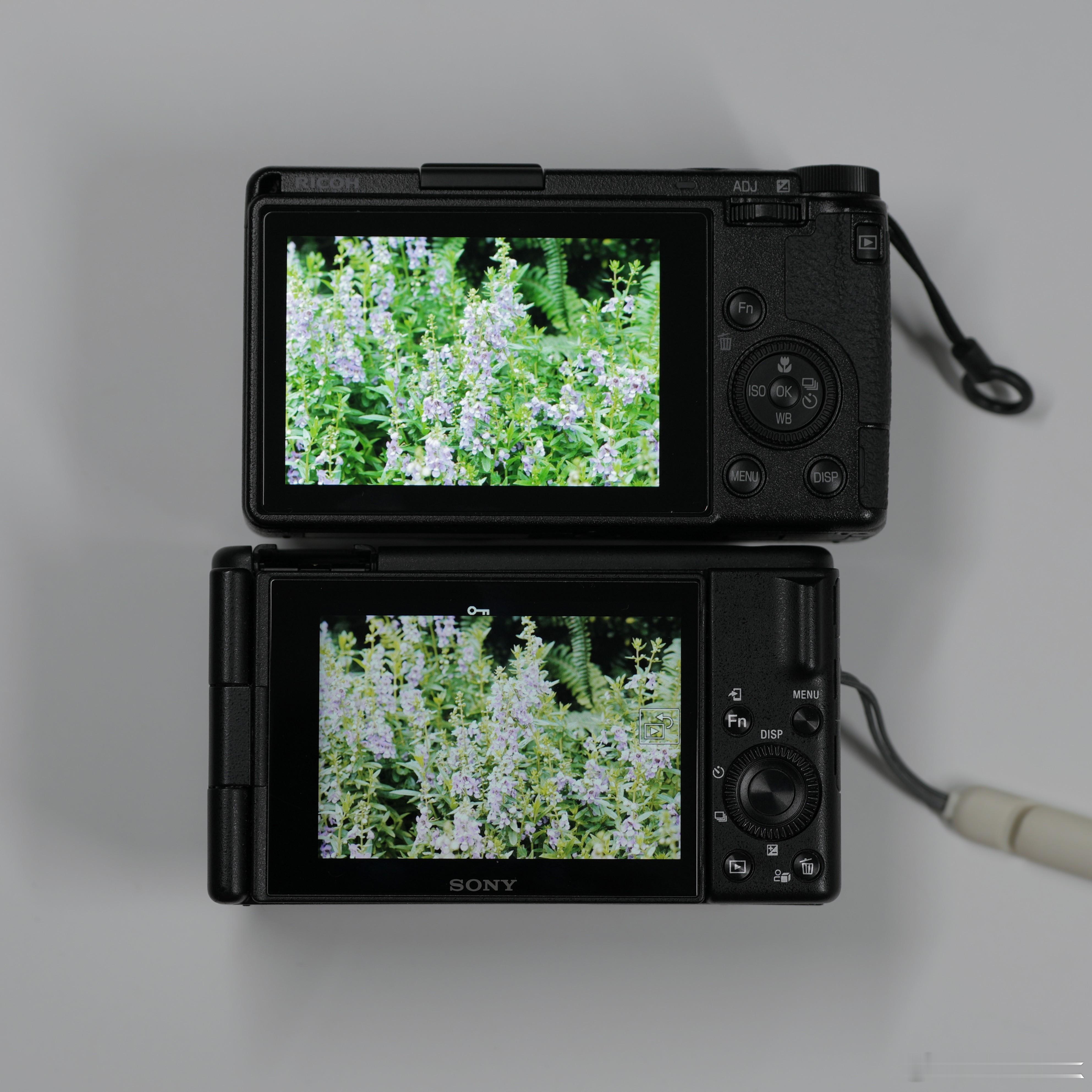 刚好，给小伙伴们来看看，理光 vs 索尼的屏幕，这差距，简直不忍直视[污][污]