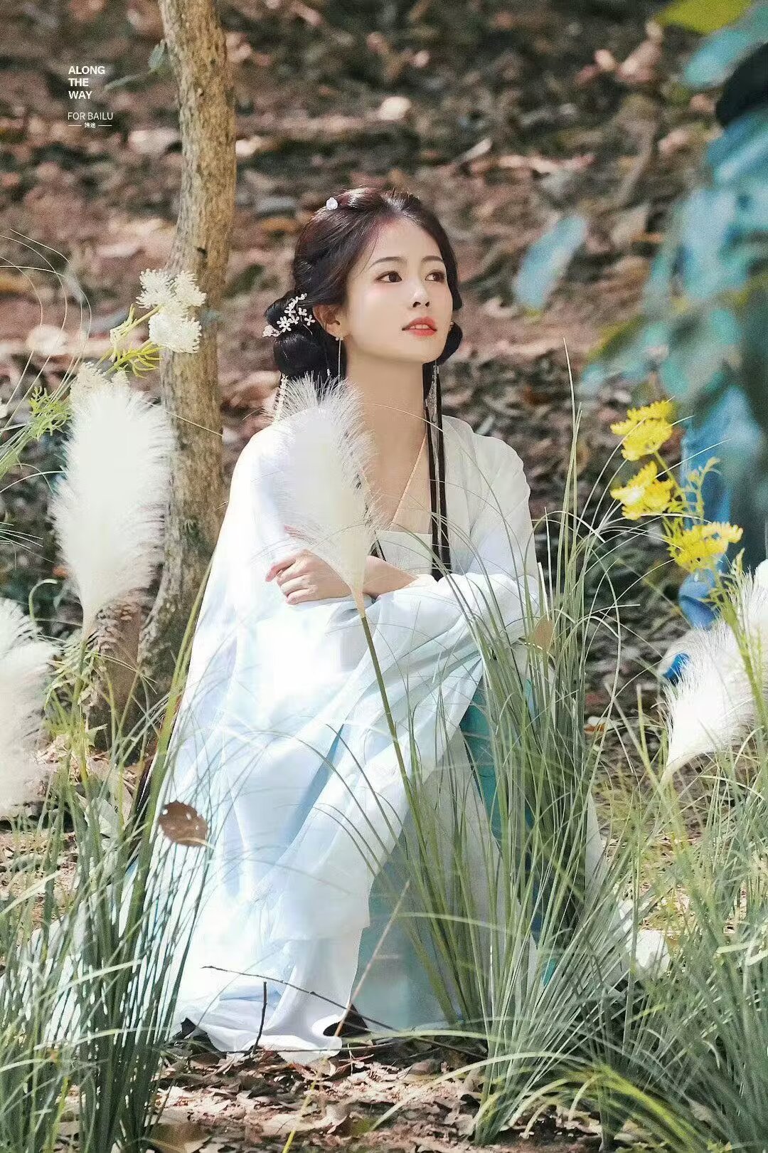 存几张之前妍途拍的。 