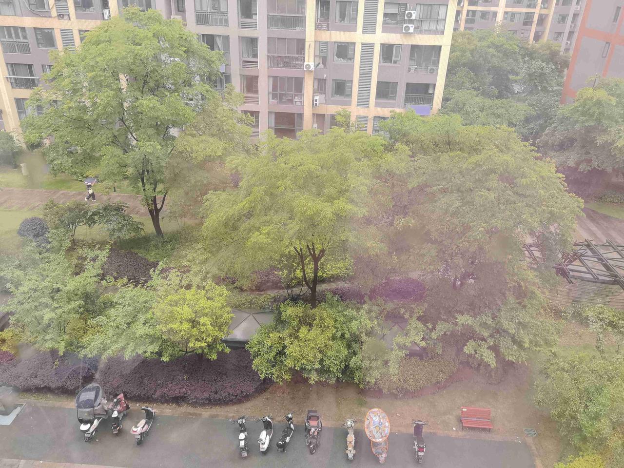 武汉昨晚凌晨两点开始下大雨，一直到早上也没有停。

儿子7点出门上班去了。
二宝