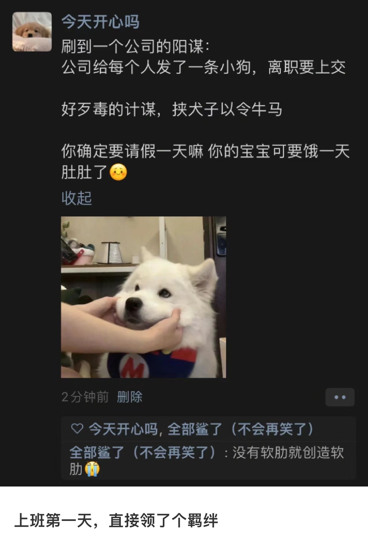 上班第一天领了个质子 ​​​