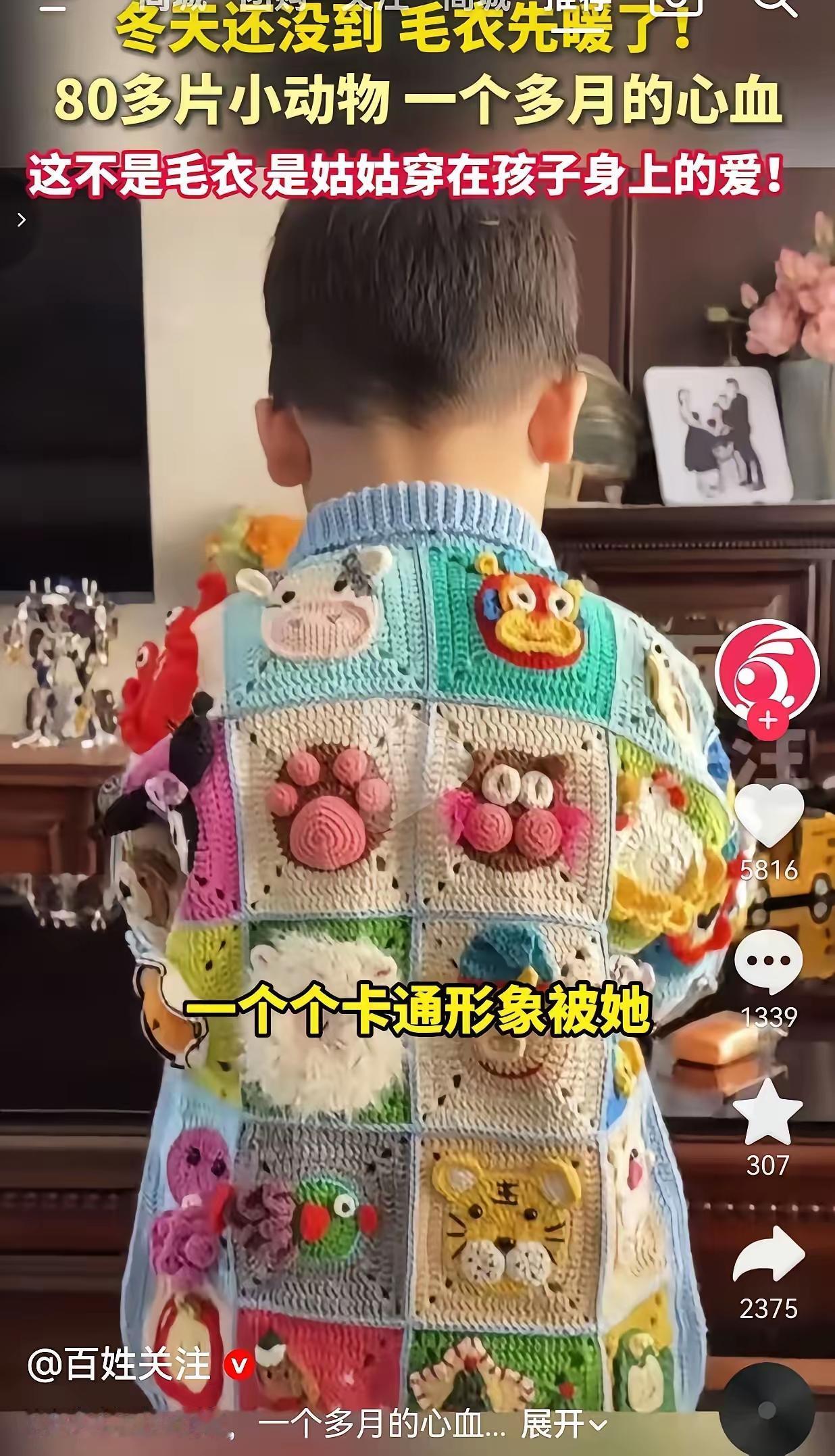 山东小姑给侄子织的毛衣火了，80多种小动物，网友：这谁顶得住啊！

说实话，我第