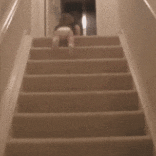 每天一条冷知识 下楼才是膝盖的“隐藏杀手”。上楼梯是缓慢施加的静载荷，而下楼梯是