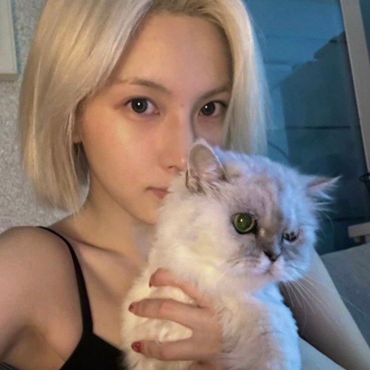 Bae ​​​