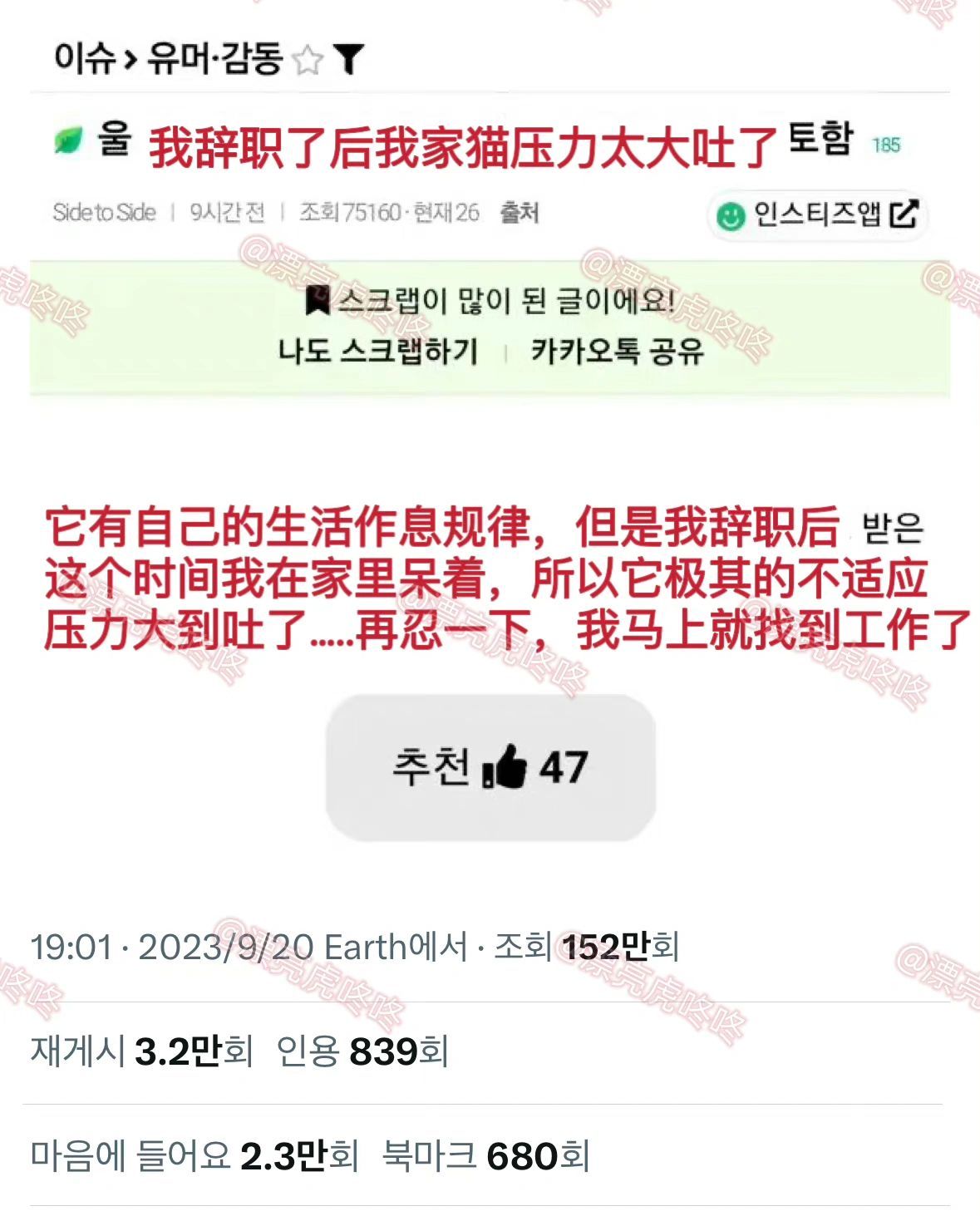 辞职后家里的猫吐了[哆啦A梦害怕] ​​​