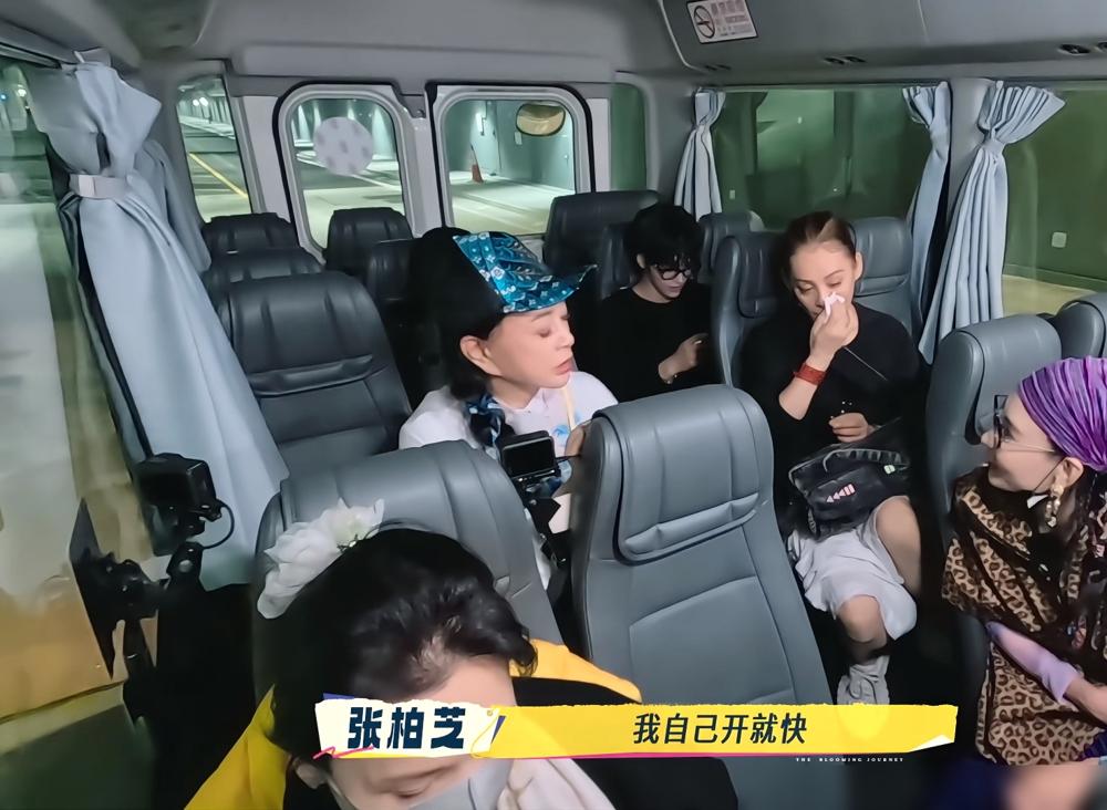 张柏芝，“我开车很快，我可以开计程车，比那些的士司机都熟悉路。
”宁静，“我看