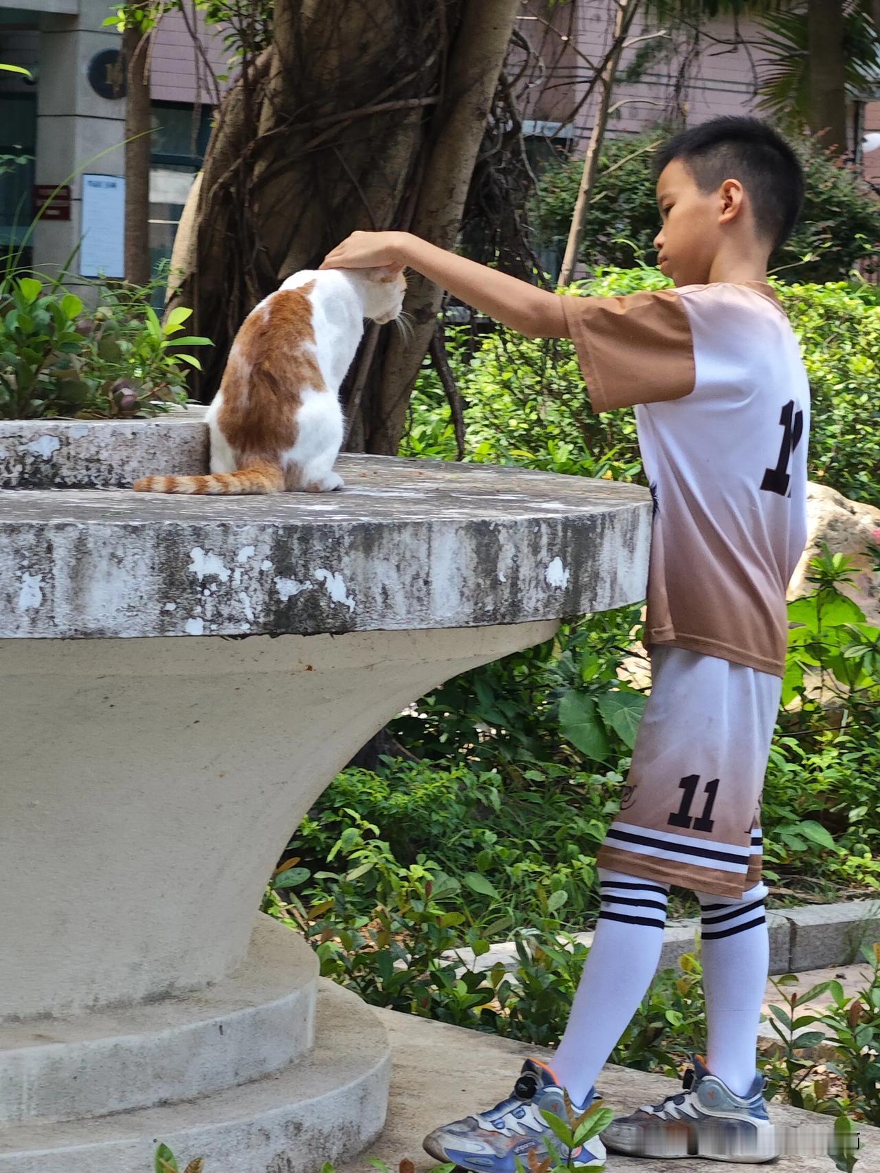 阿猫与少年
