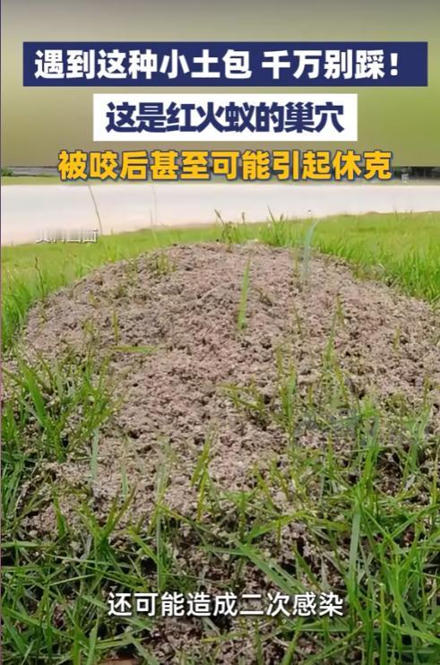 天气转暖，大家出门踏青、带孩子逛公园的次数越来越多，可谁能想到，路边一个不起眼的