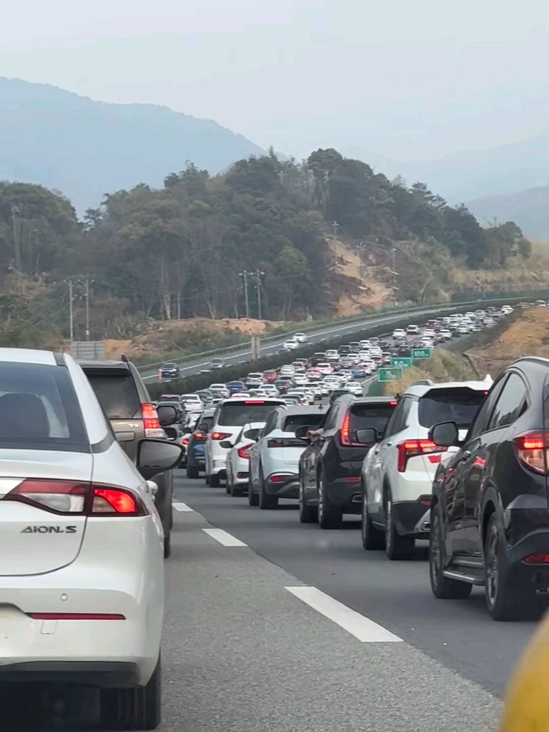 半夜出发的大聪明全堵在高速上了那能咋办，每年都有这么多聪明人现在堵总比卡免高速费