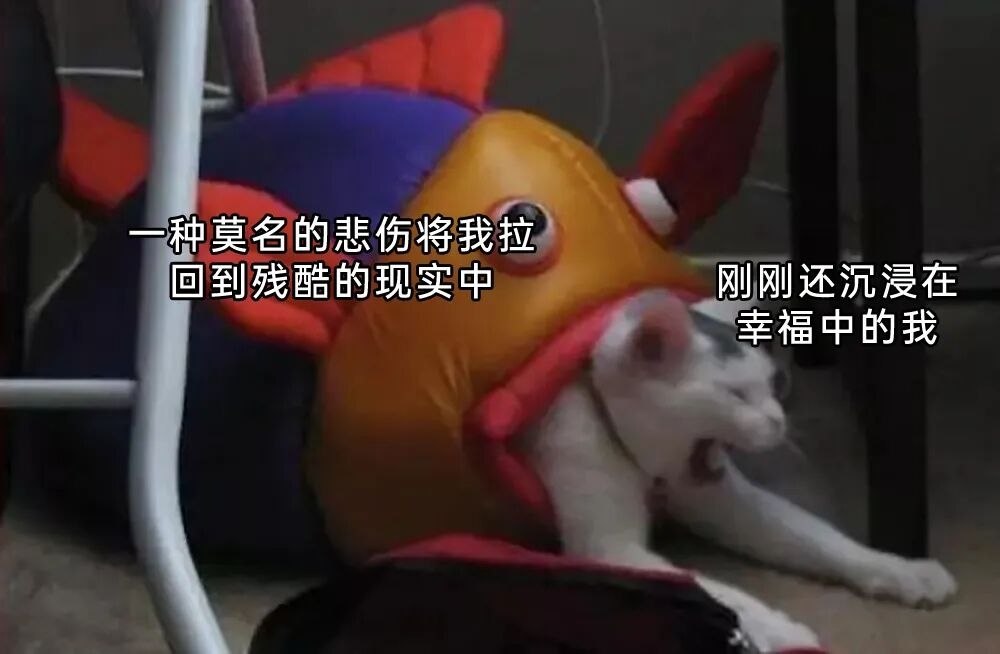 哦不 