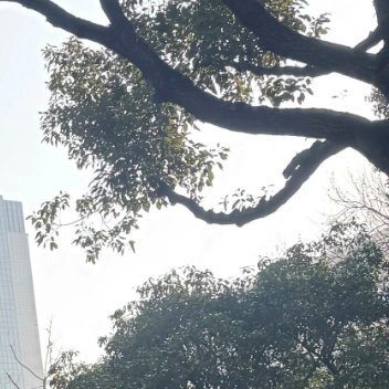 清晨第一声鸟鸣，唤醒活力细胞。新的一天，愿你活力四射，状态绝佳。 