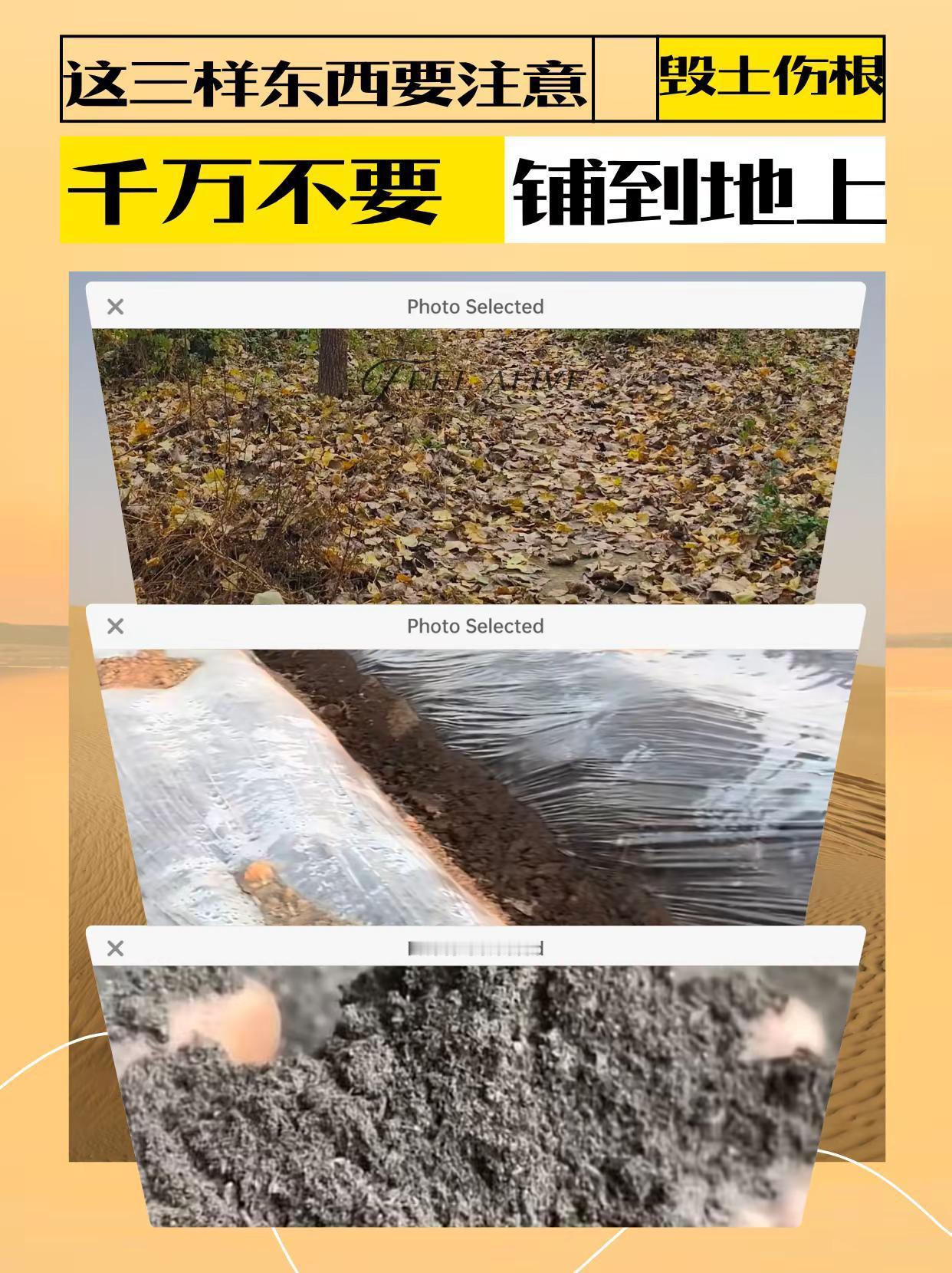 这三样东西，千万别铺到菜地上，毁土伤根。⚠️ 三种不能铺到菜地的材料：新鲜树叶（