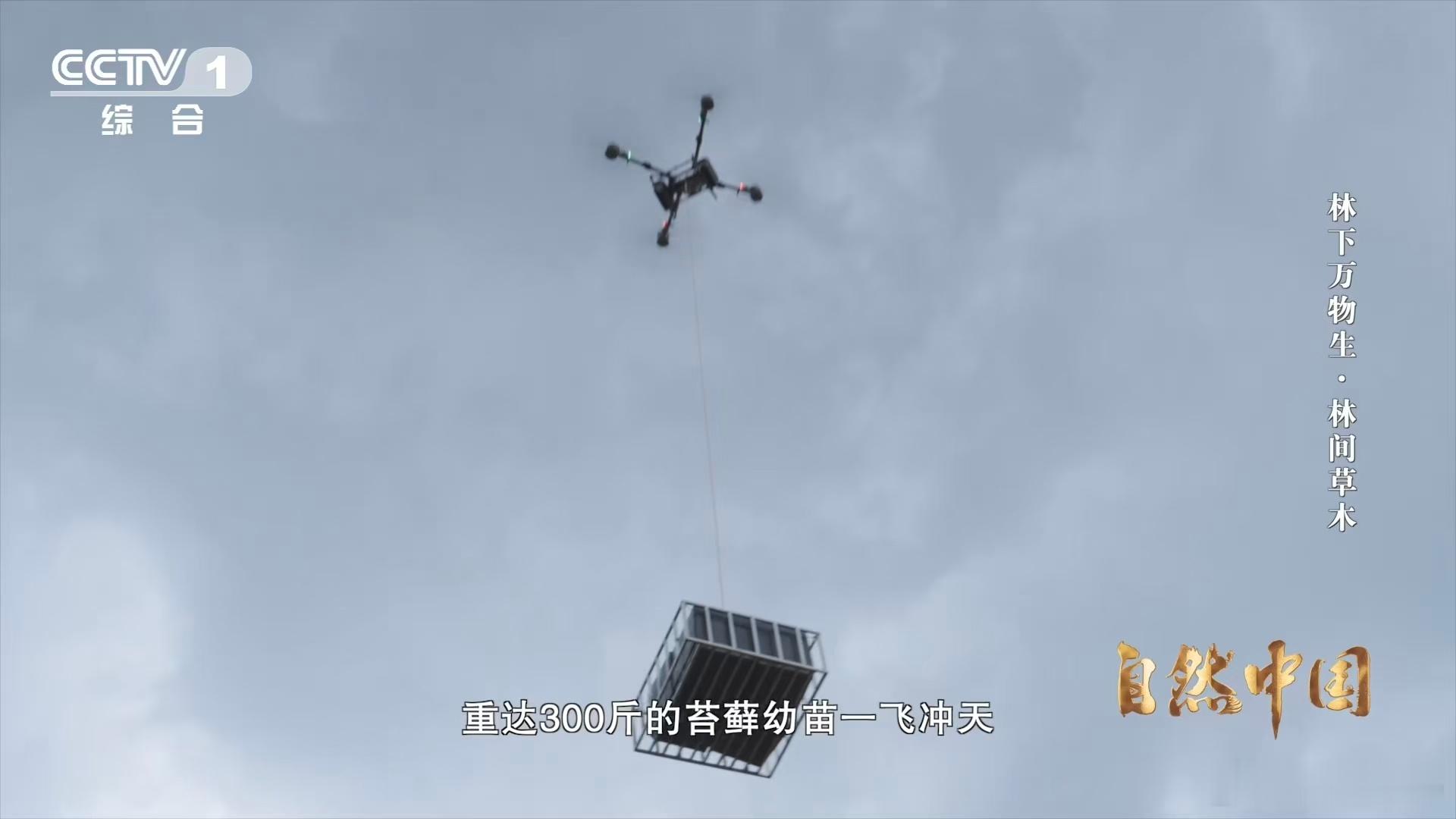 一架架无人机在中国农村运货 中国农村的养殖产业也因无人机运货而受益匪浅。在大型养