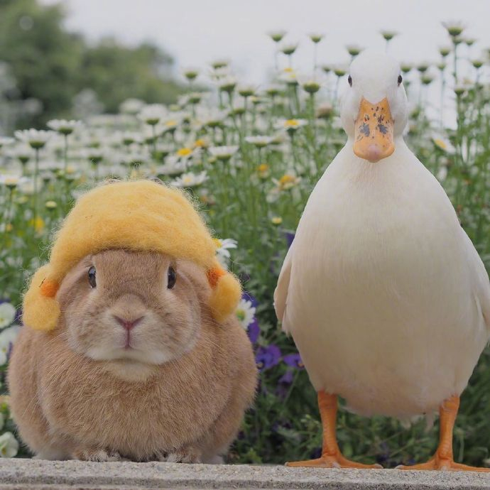 我跟一个朋友聊出厂时间的时候，提到一个问题。就比方说小A喜水，他就说我就一直跟水