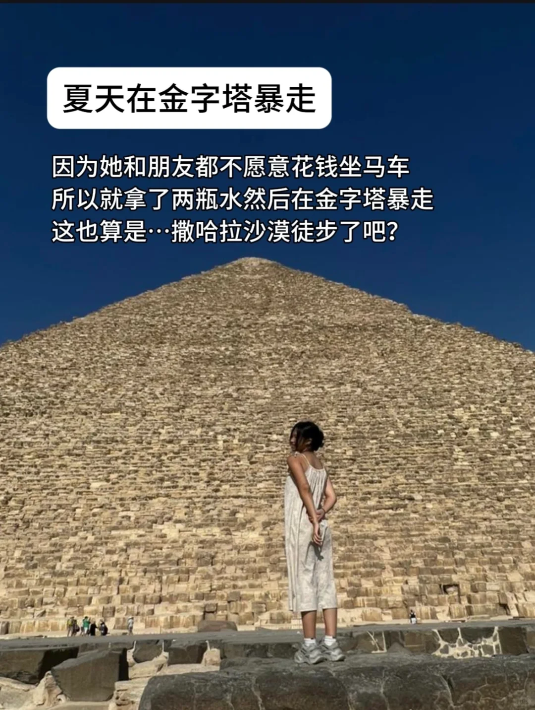 在全世界找到了我的精神保护区