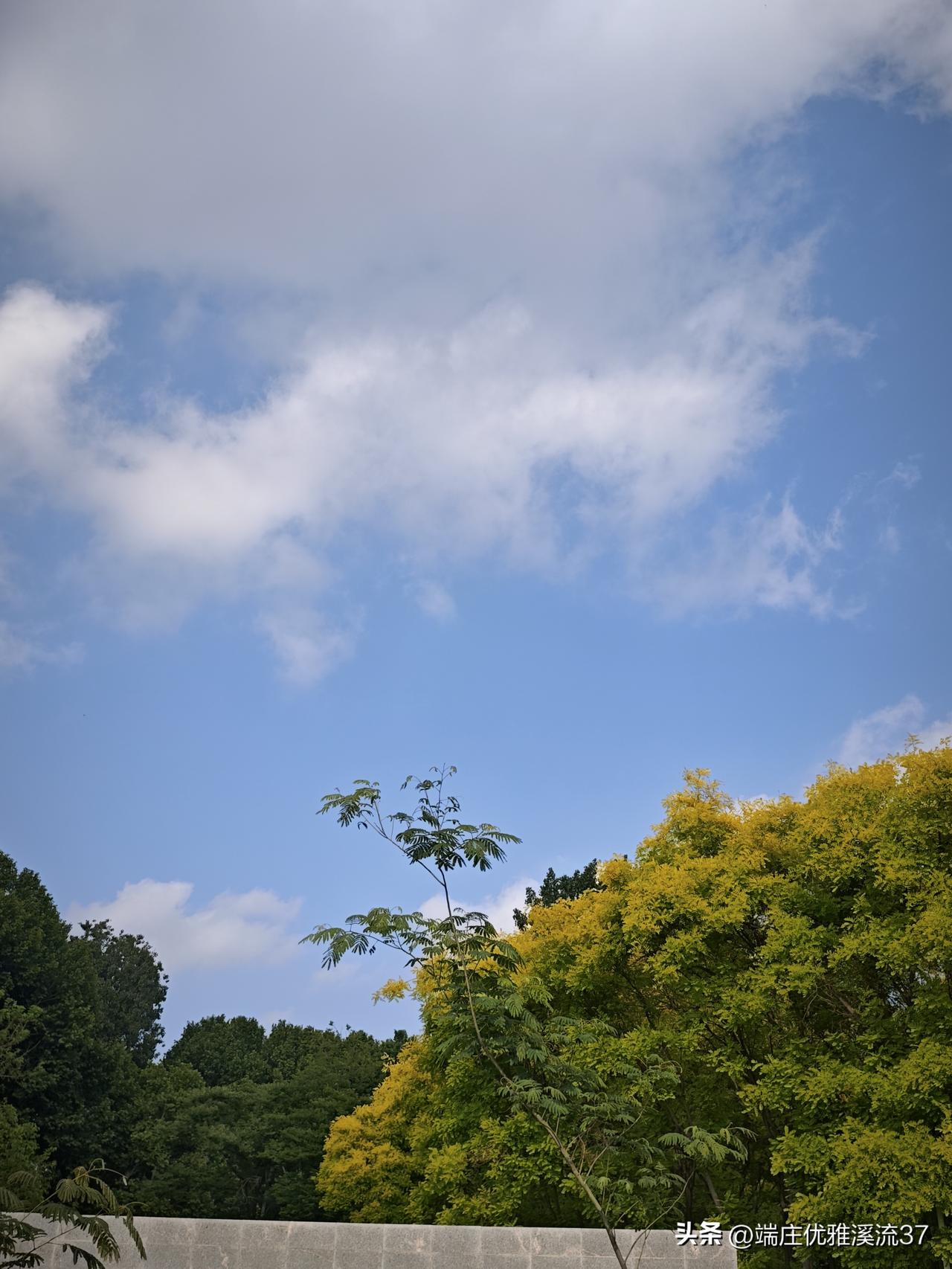 不知道为什么，这两天发的这个真心话茶局的文章我自己都看不到，看不到就看不到吧，无