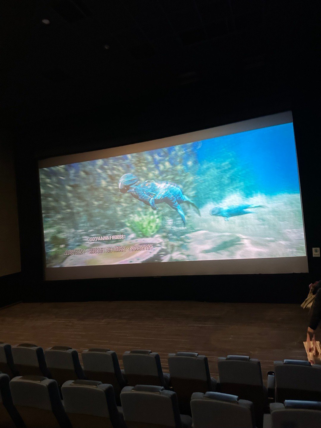 阿凡达三看完了，快200分钟，挺长的，特效不错，仅限于此。 