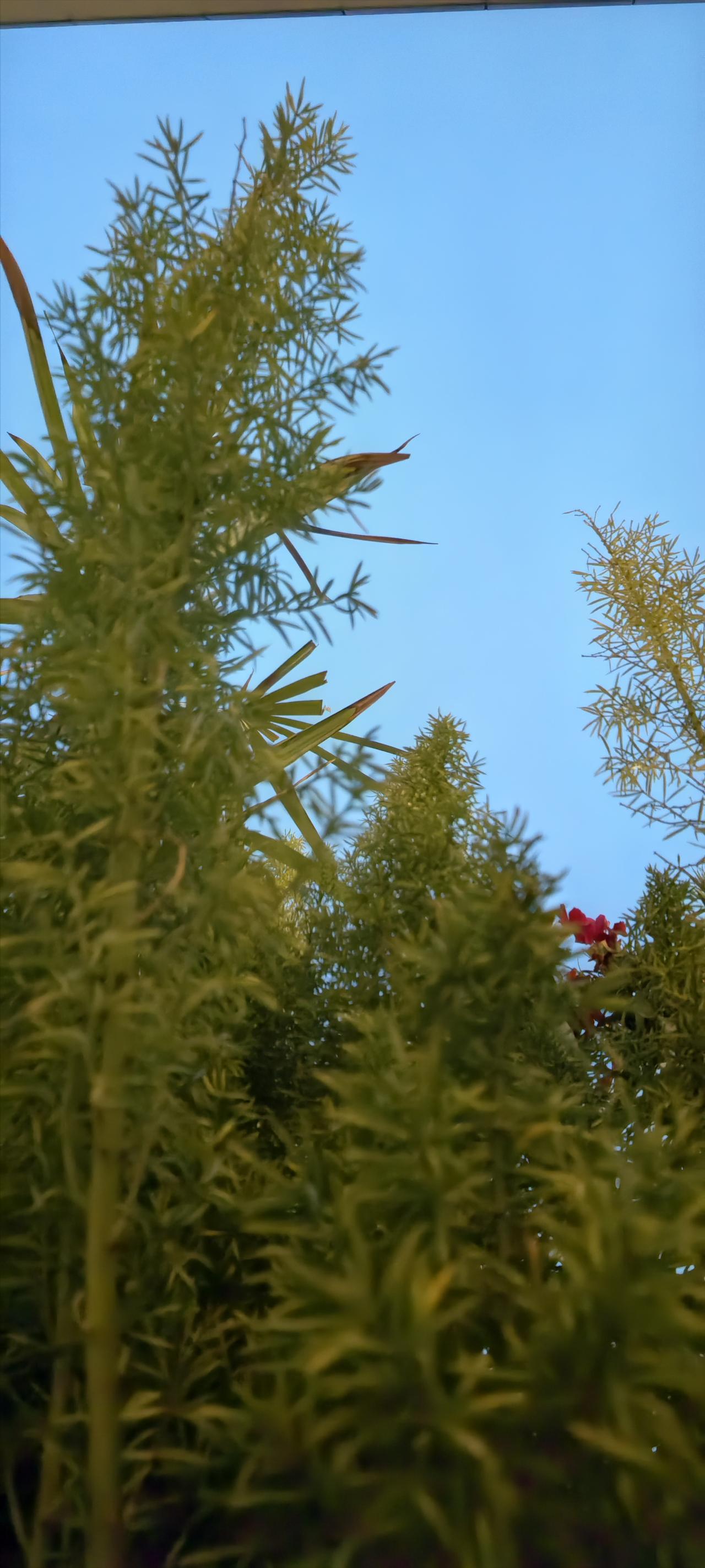 过度思考，是精神内耗的根源。

90%的烦恼，都是你想出来的。

可你想了一百遍