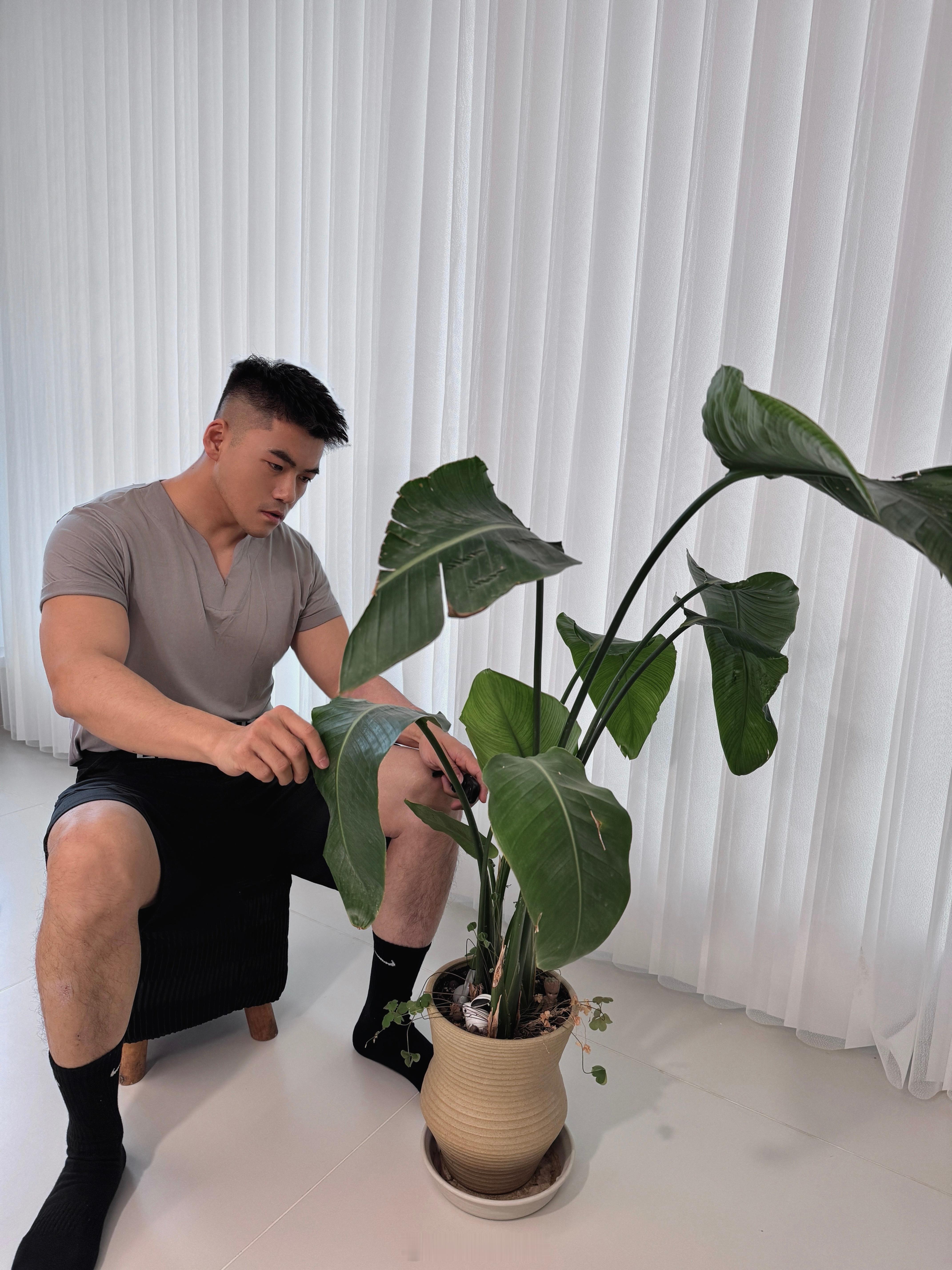 植男在家🌳 