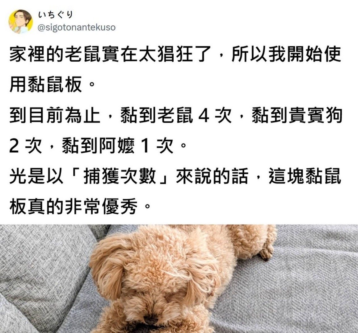 战绩可查 ​​​