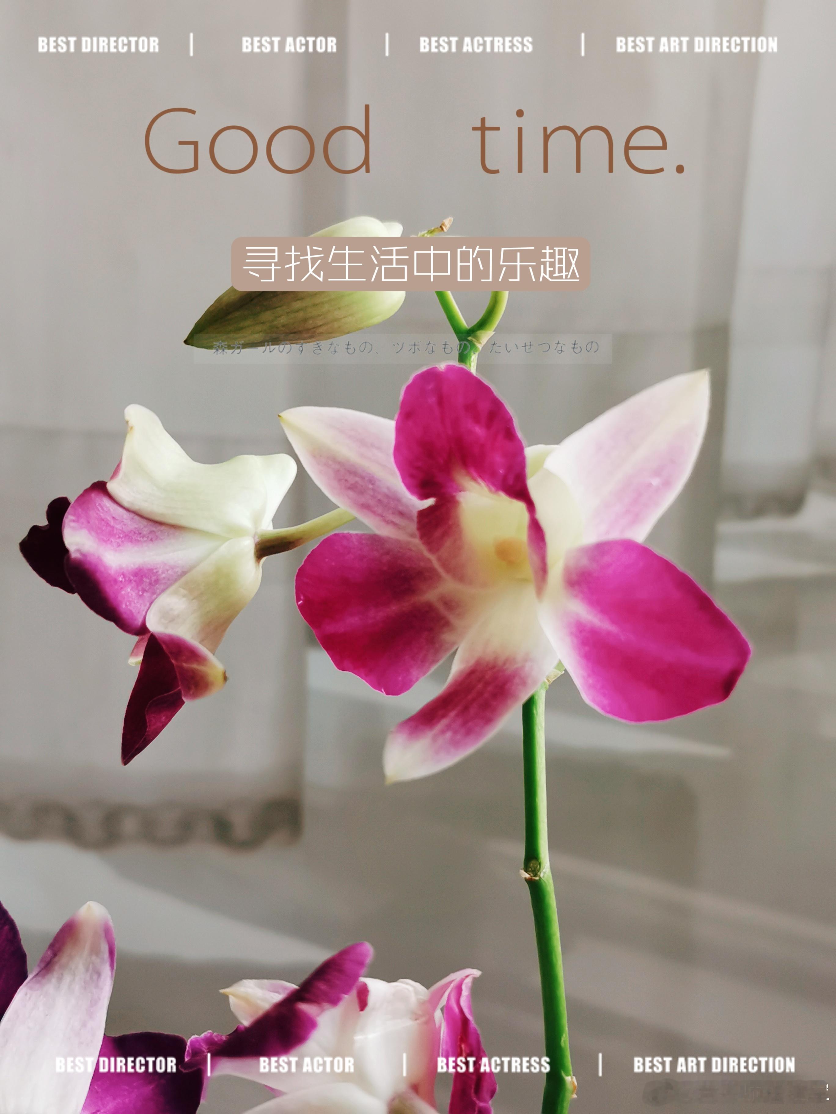 #早安# 周末快乐🌺🌺🌺 ​​​