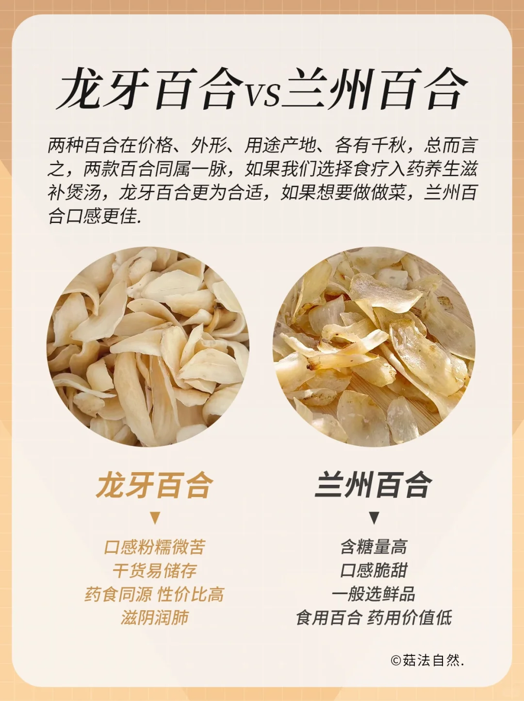 三伏天更适合吃哪种百合呢❓