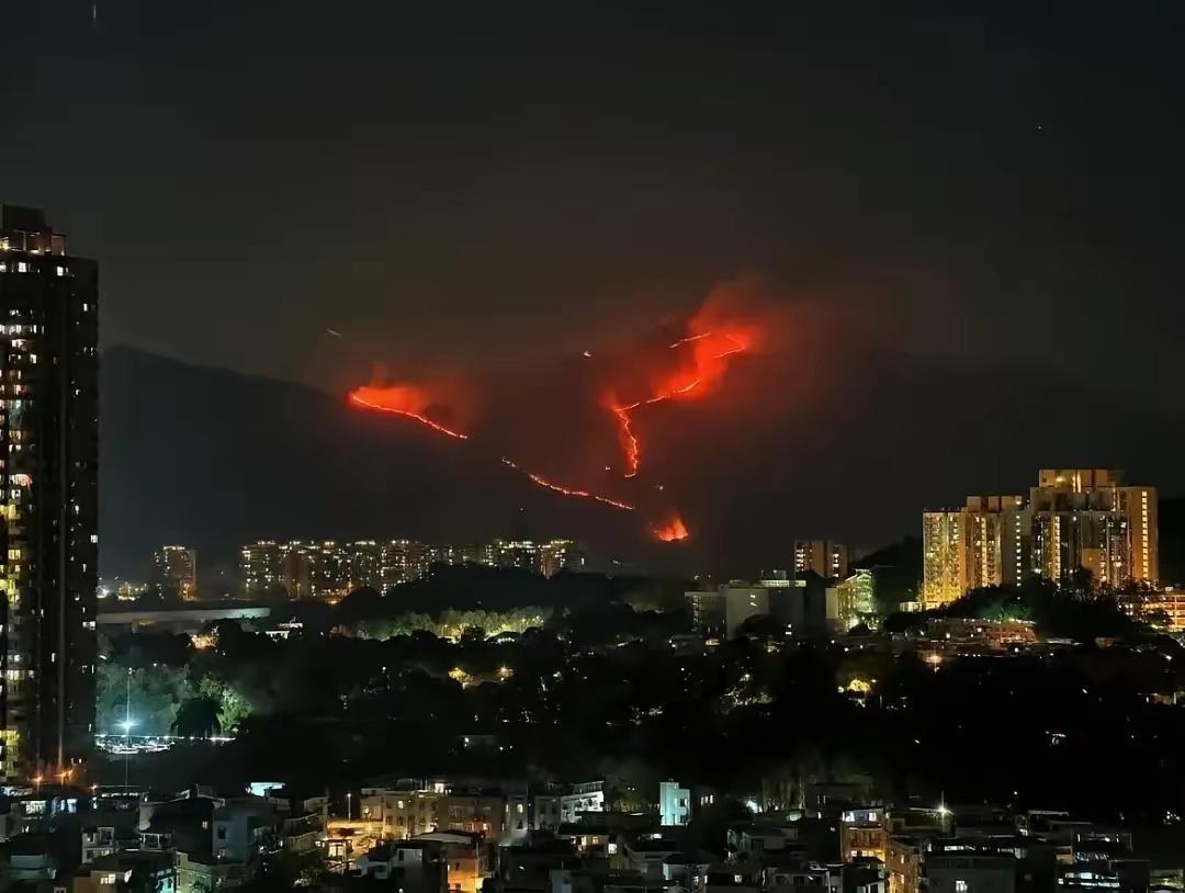 洛杉矶山火期间29人被捕 干得太漂亮了！同样是山火，香港突发山火，咱妈丝毫不像隔