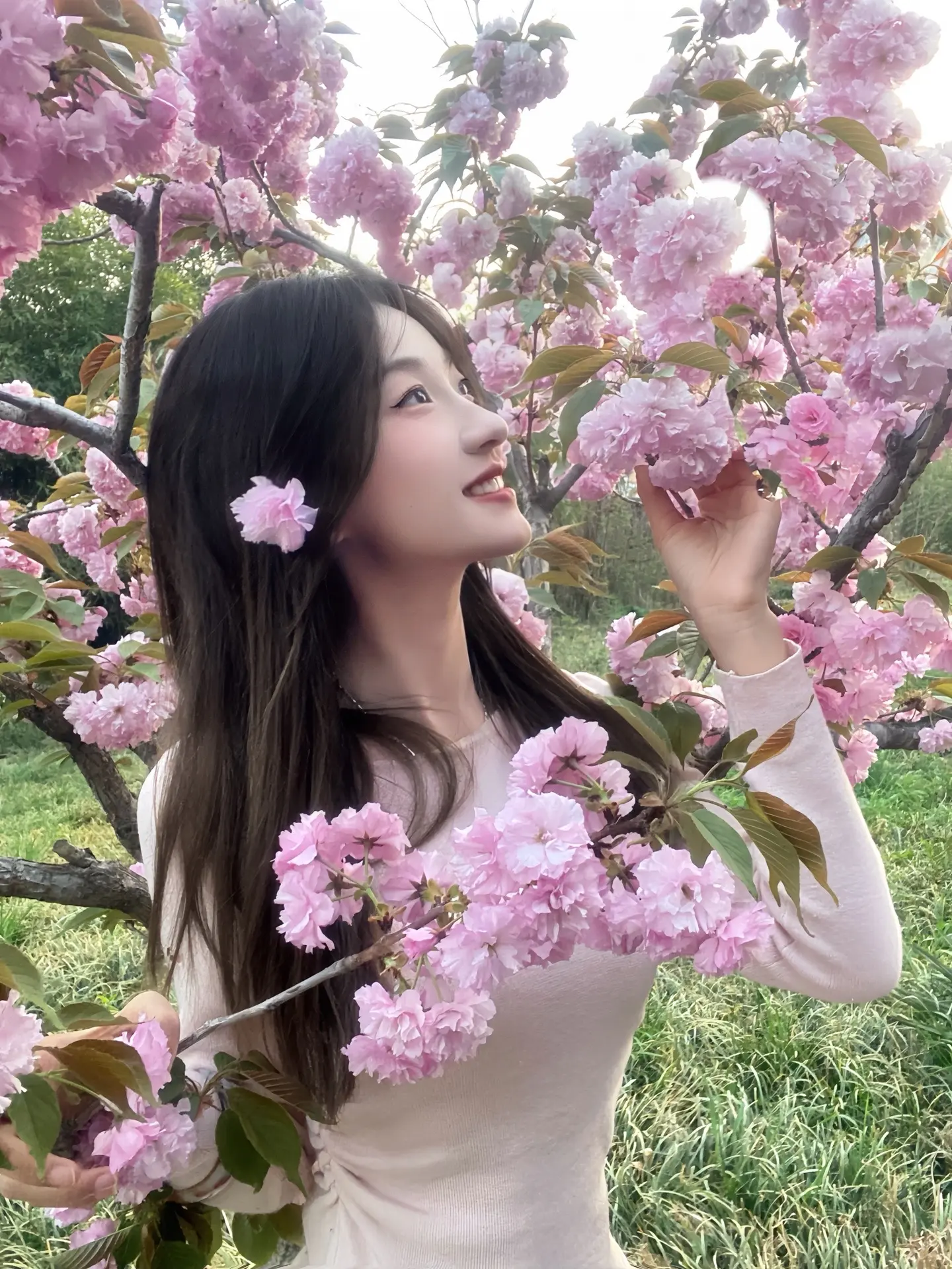 凌晨四点 我看见海棠花未眠.