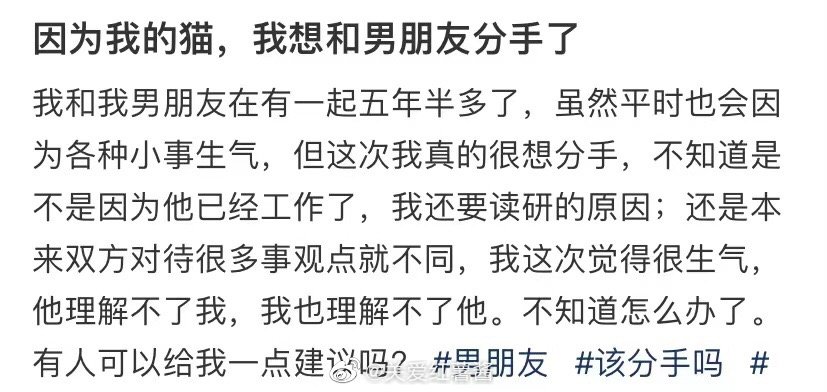 我想和男朋友分手，因为我的猫 ​​​