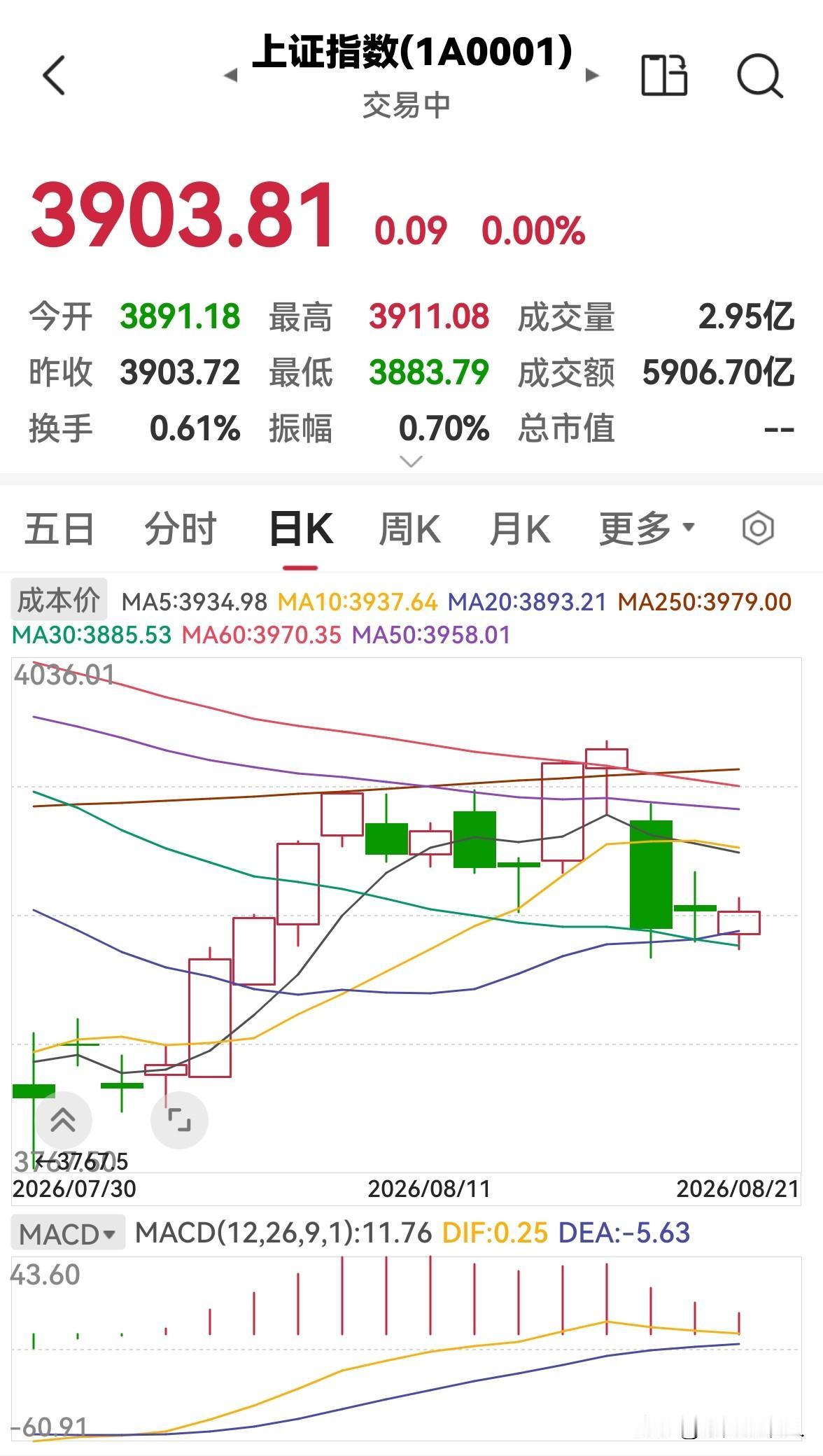 今天是8月21日，股市早盘缩量上涨，下午还会涨吗？

今天股市早盘高开高走，缩量